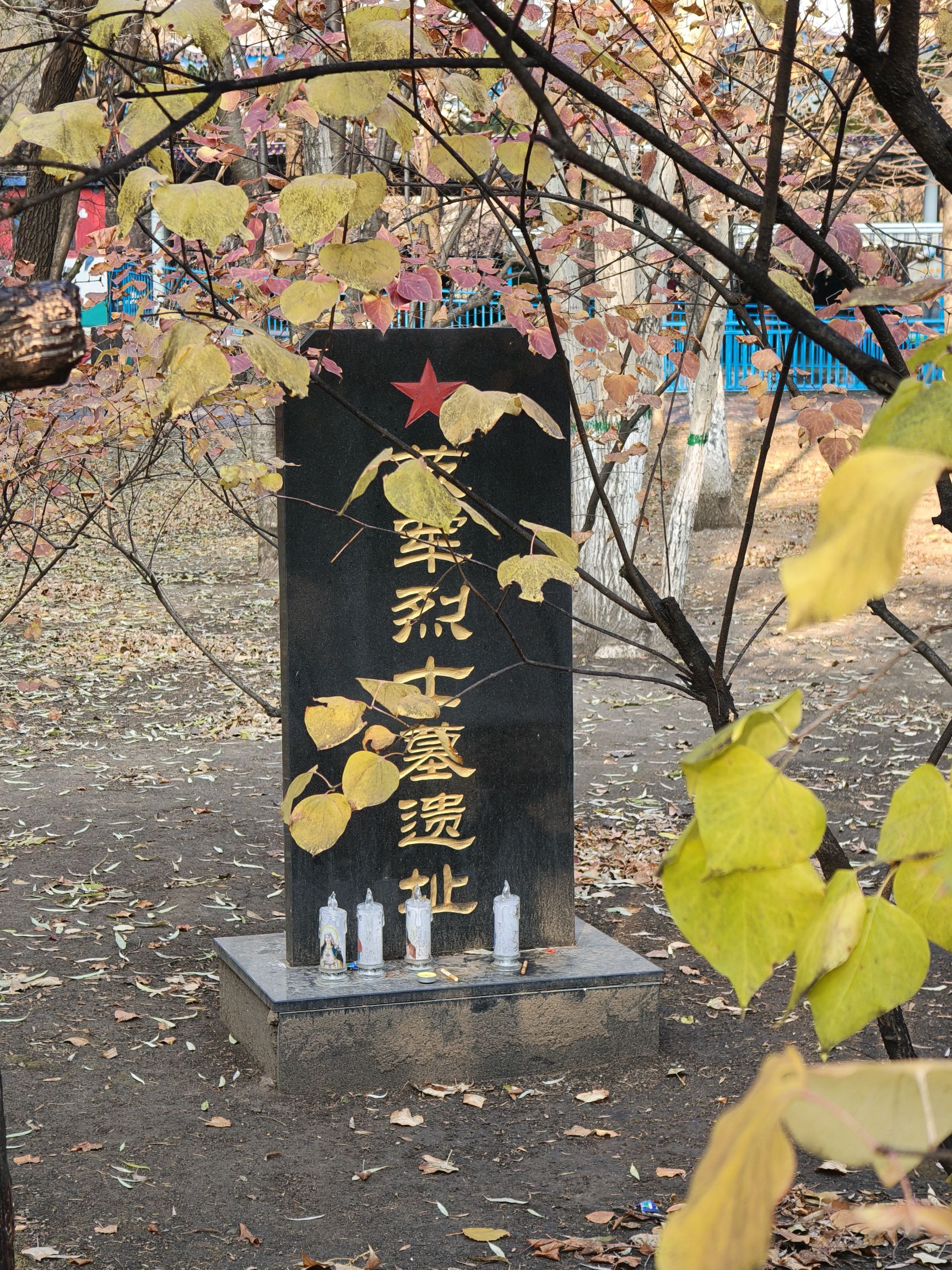 哈尔滨文化公园旅行图片 2