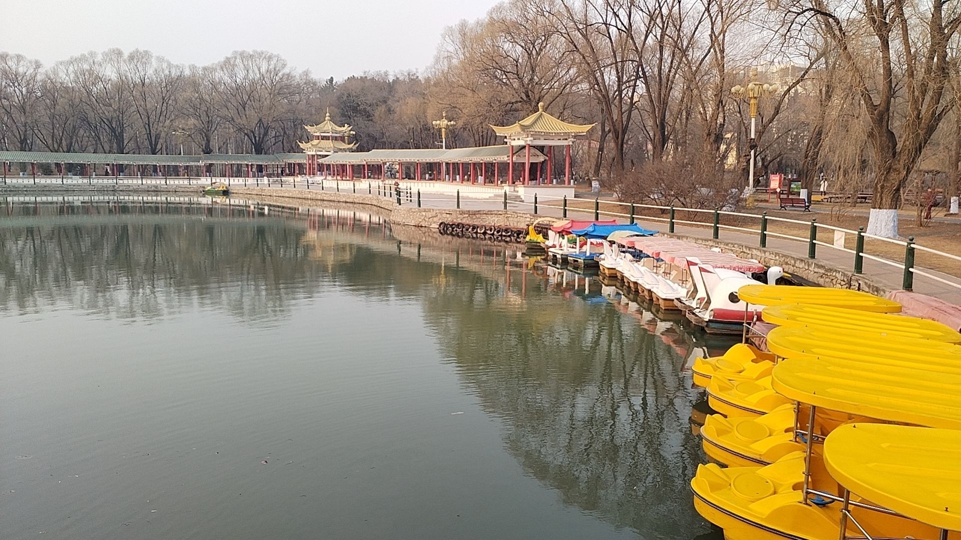 平房公园旅行图片 2