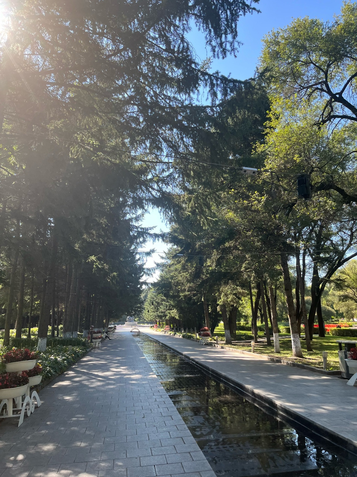 平房公园旅行图片 2