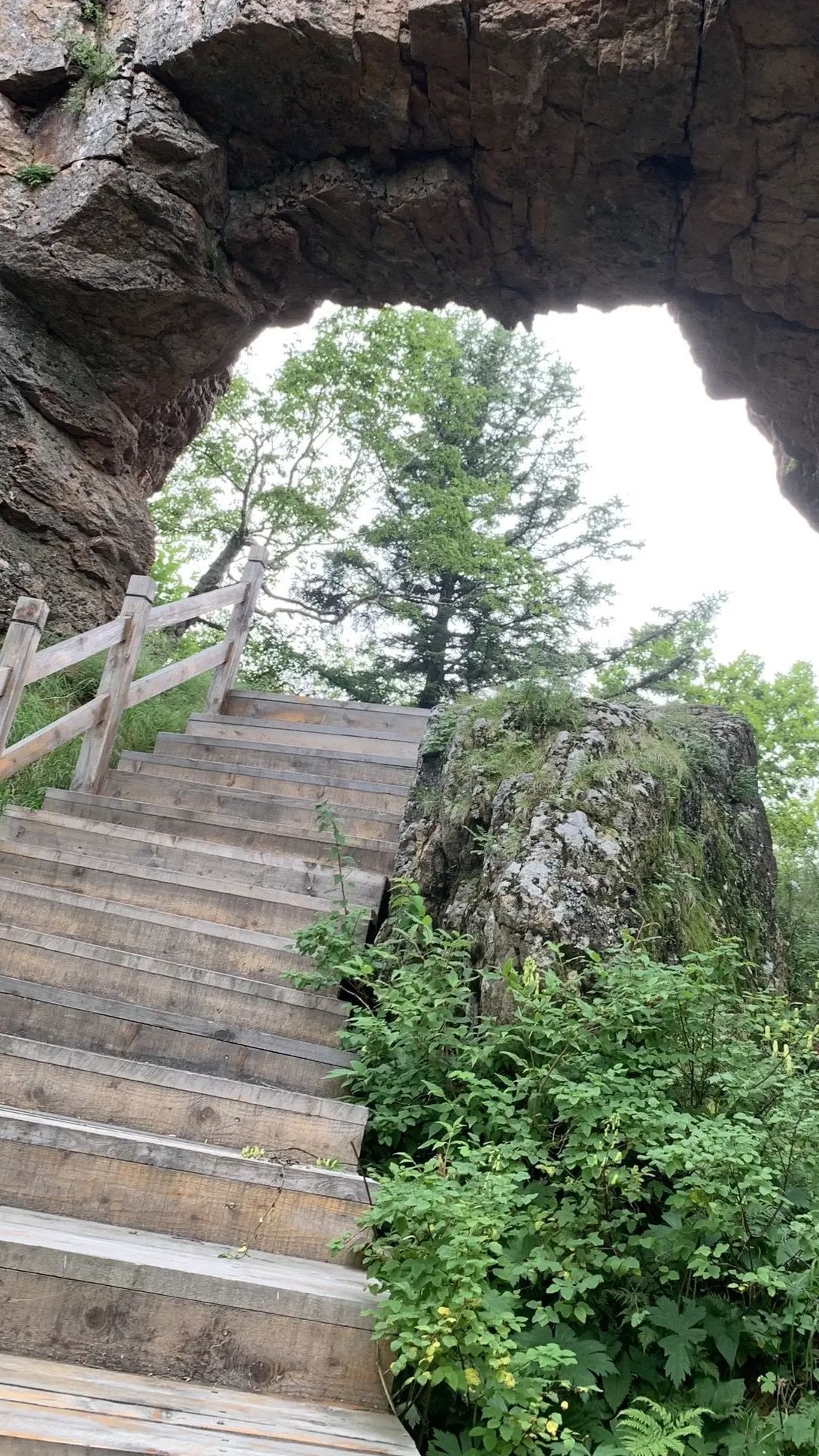 丹清河国家森林公园旅行图片 1