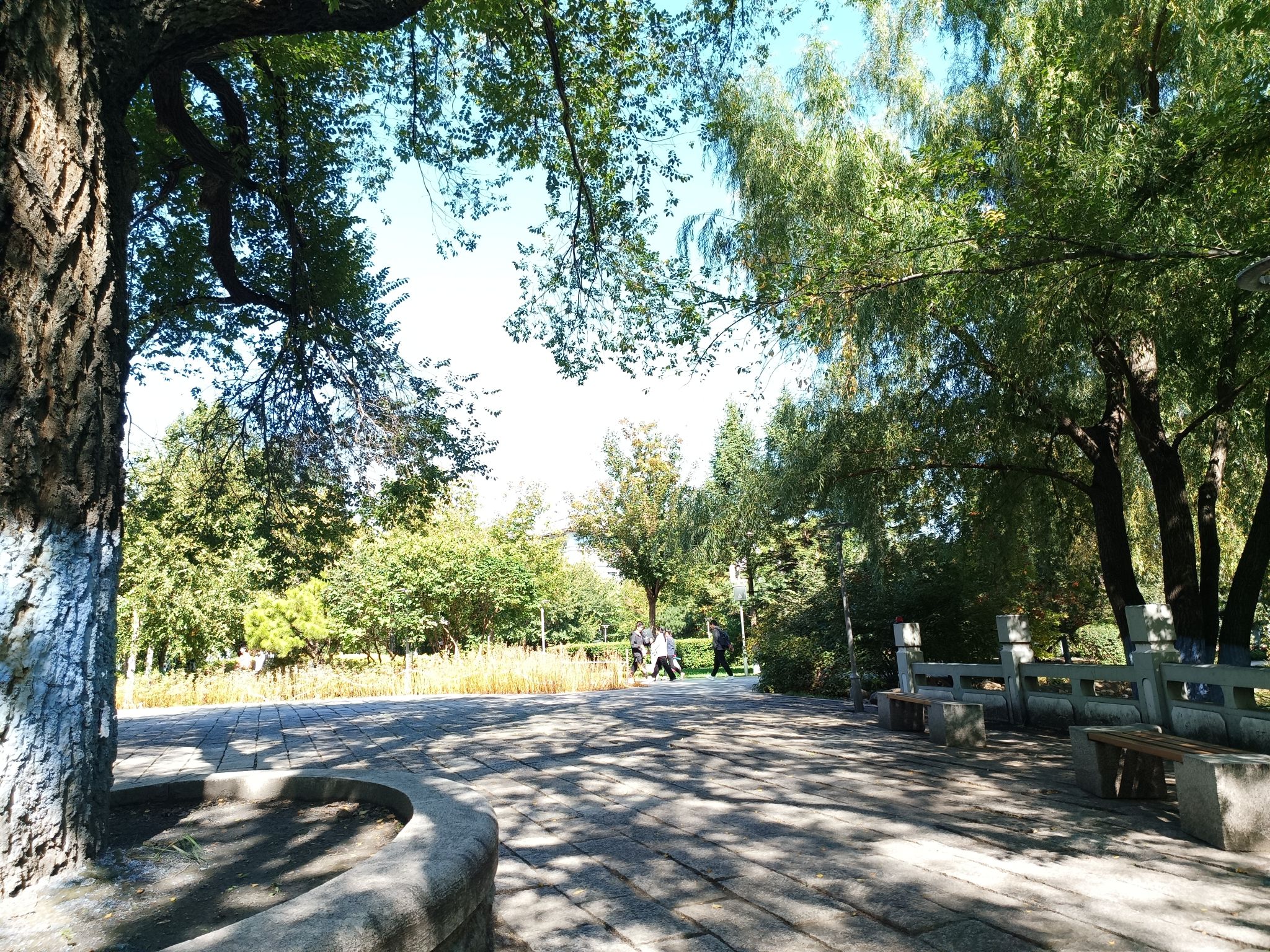 校友林旅行图片 3