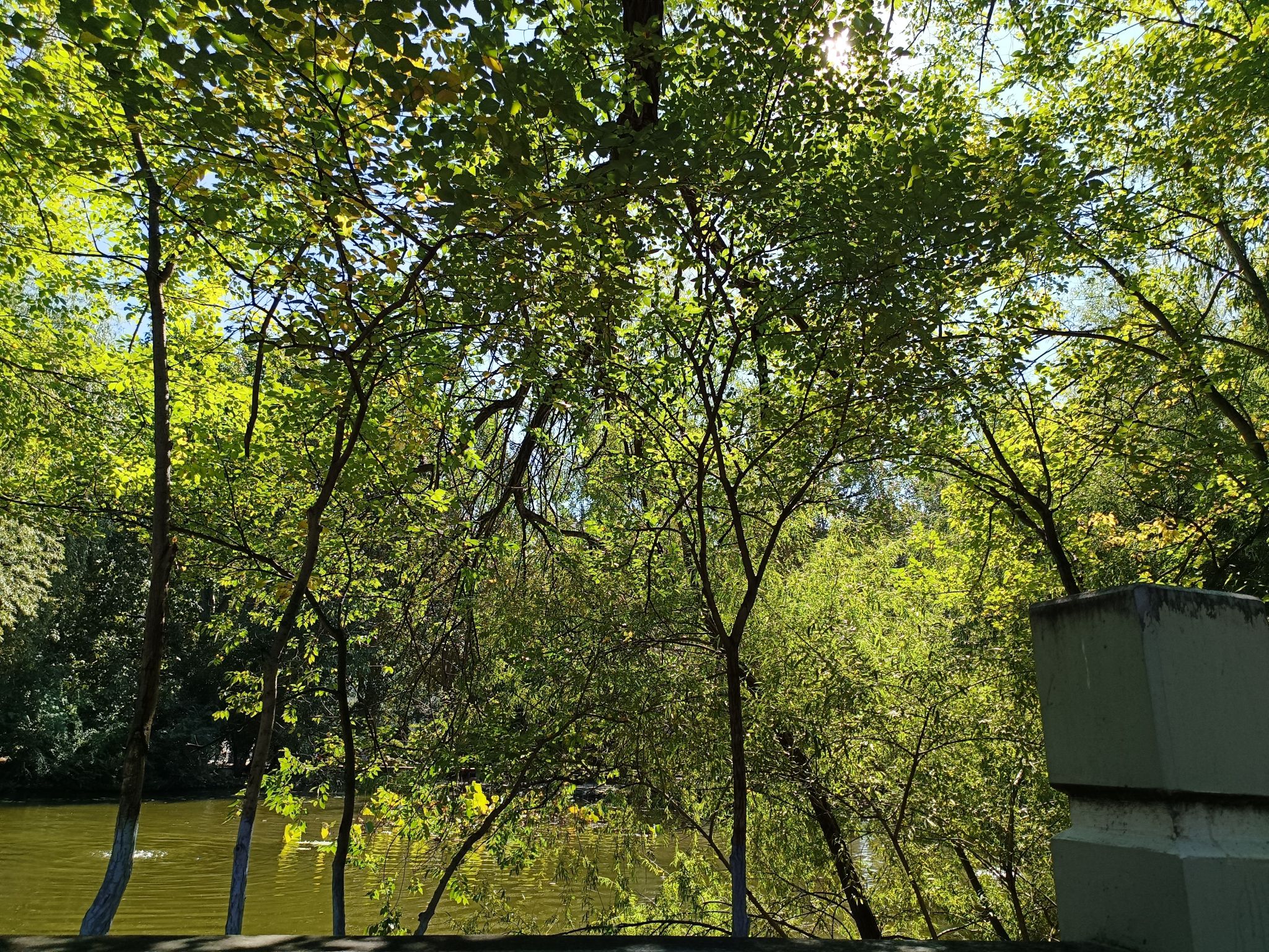 校友林旅行图片 1