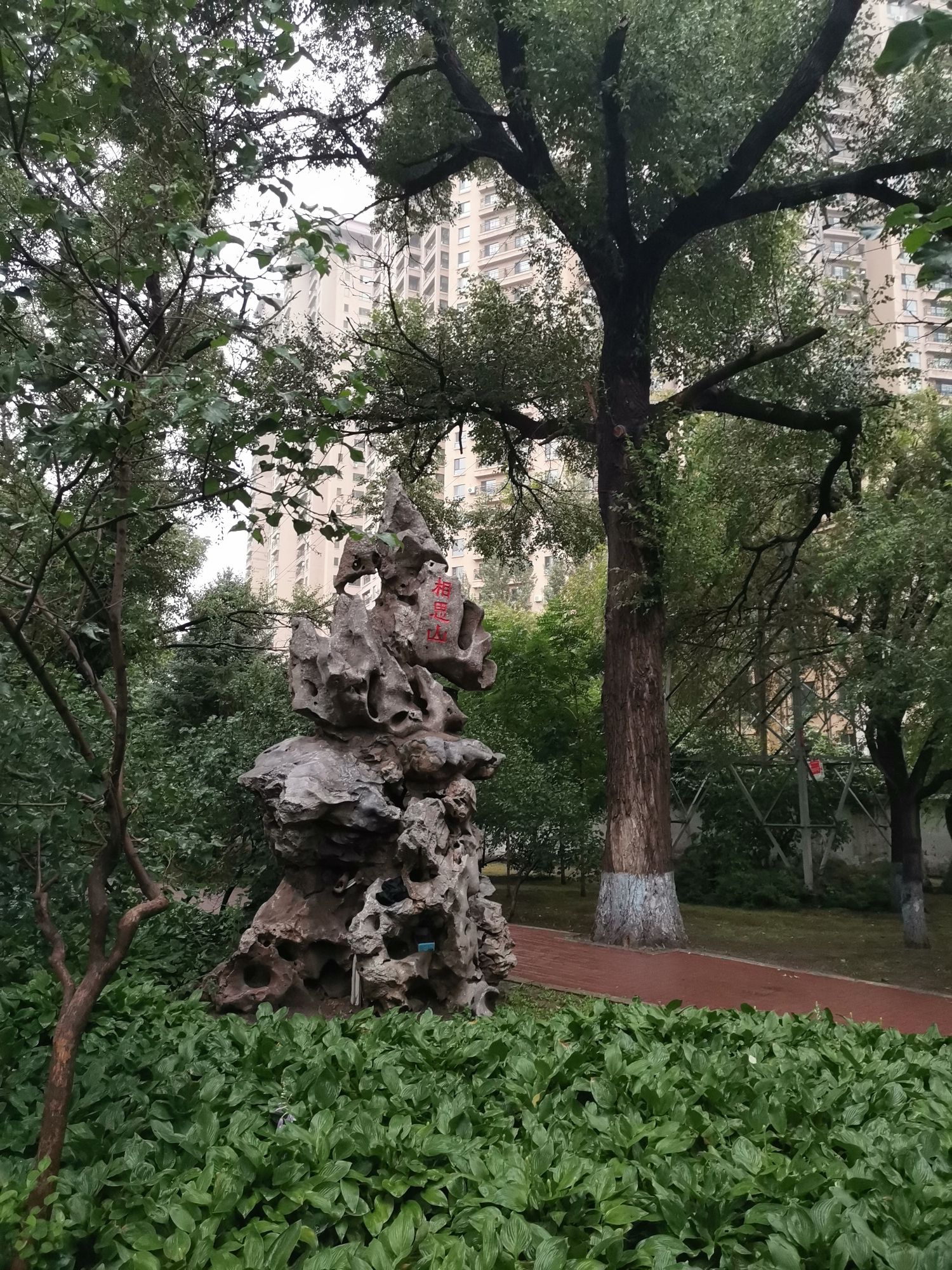 黛秀公园旅行图片 3