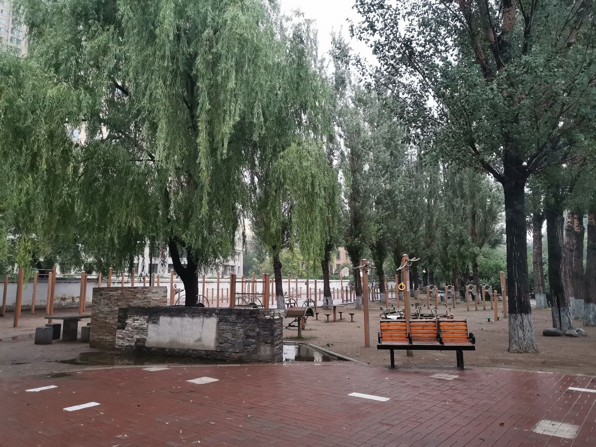 黛秀公园旅行图片 2