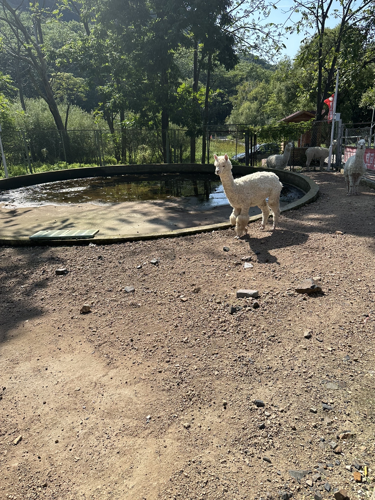 长寿国家森林公园旅行图片 2