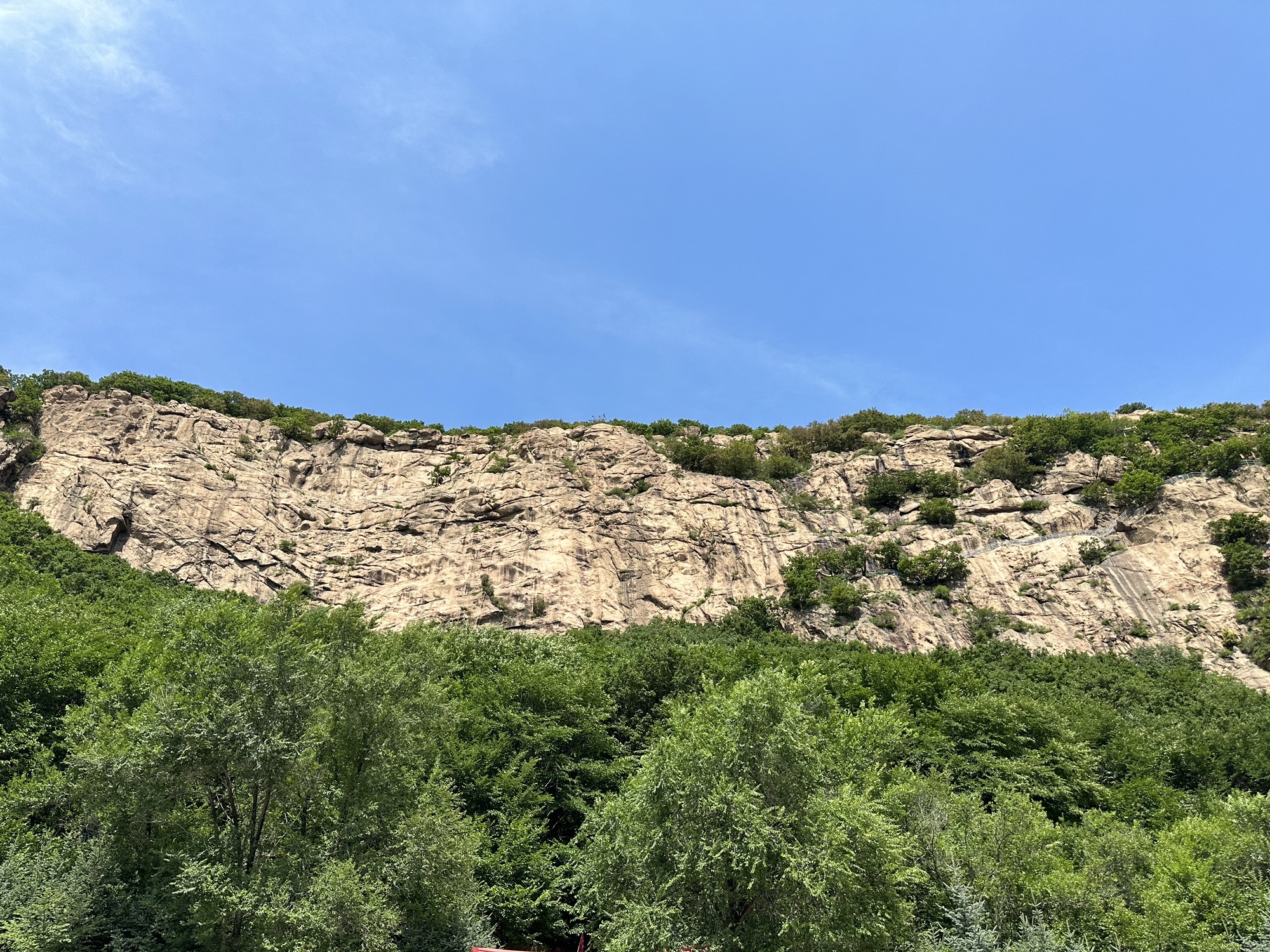 长寿国家森林公园旅行图片 3