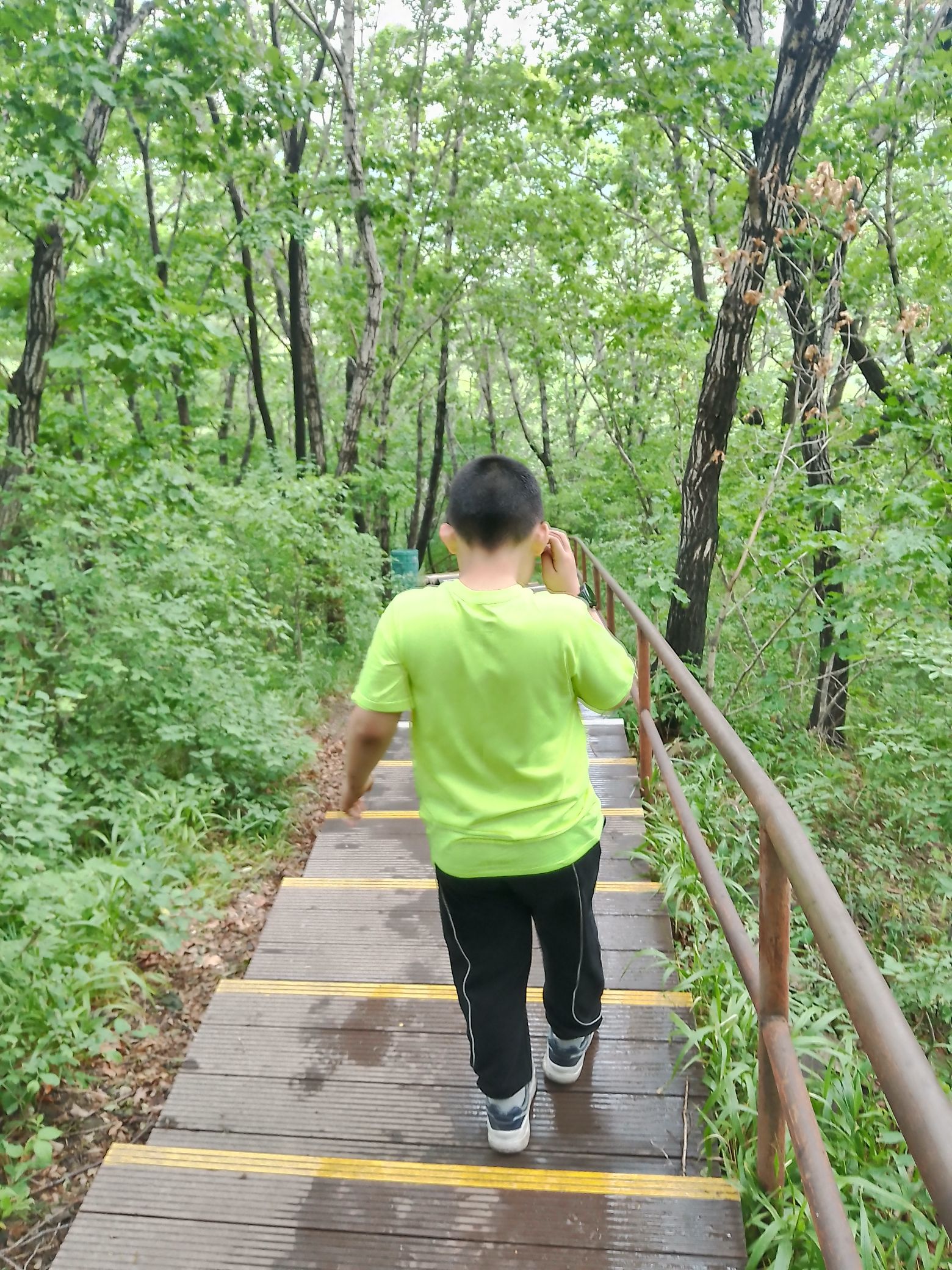 长寿国家森林公园旅行图片 2