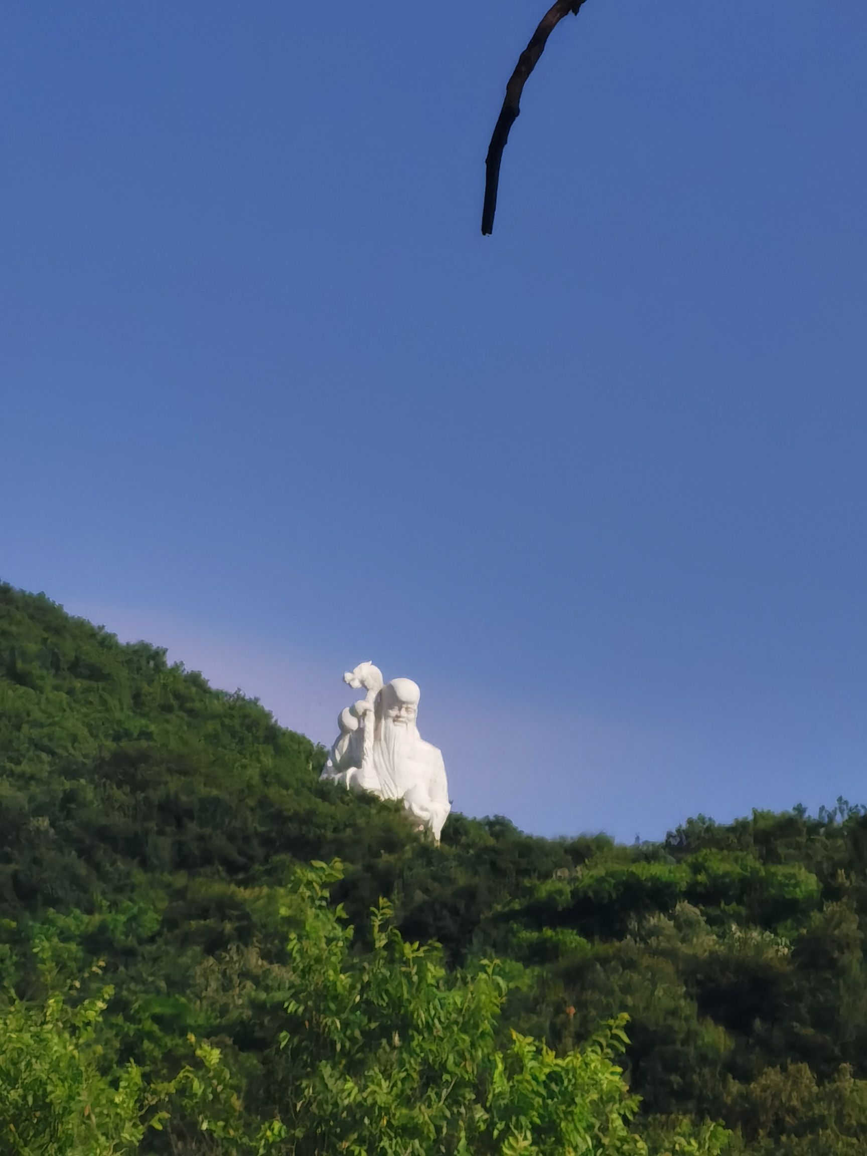 长寿国家森林公园旅行图片 3