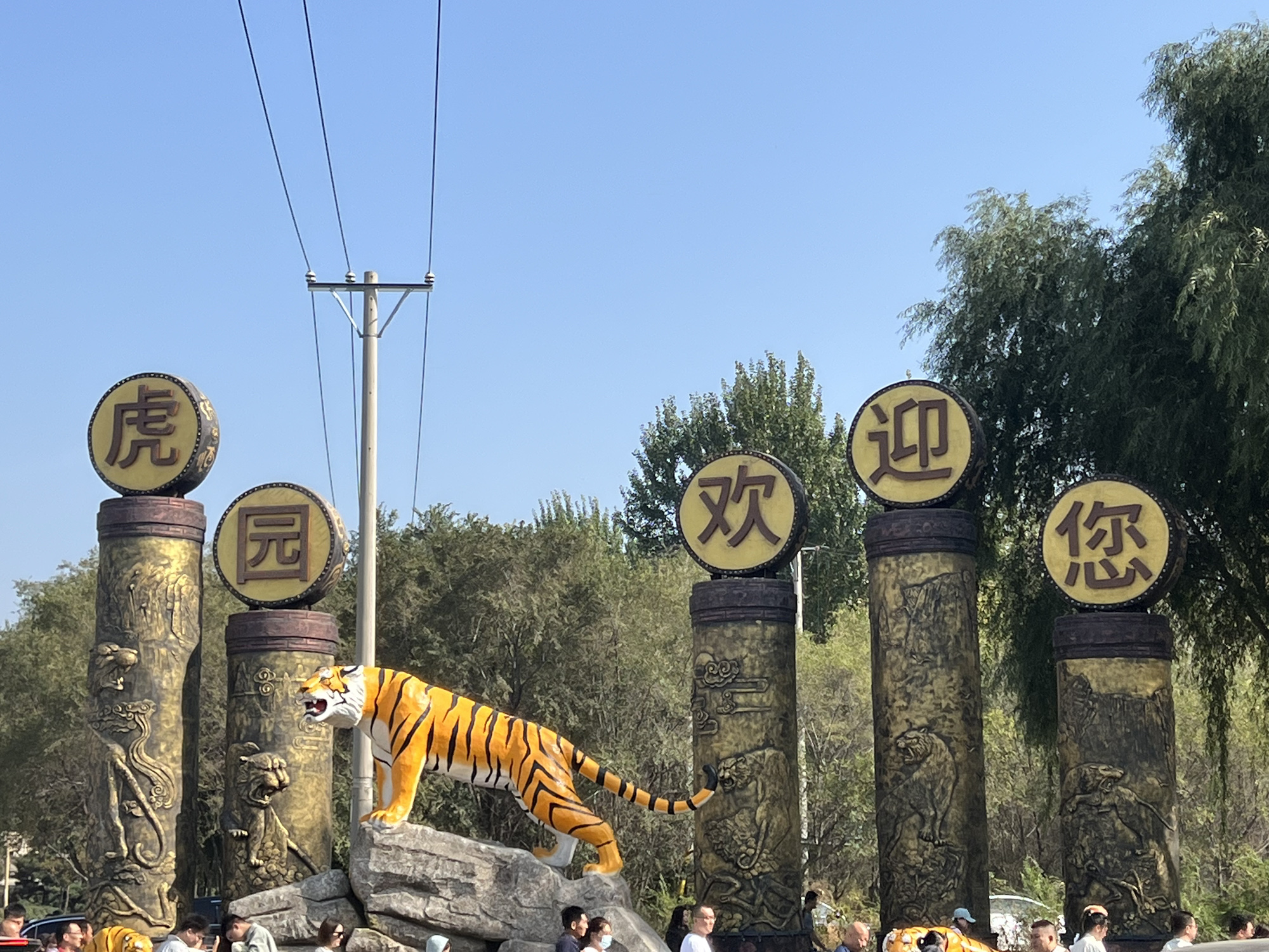 东北虎林园旅行图片 1
