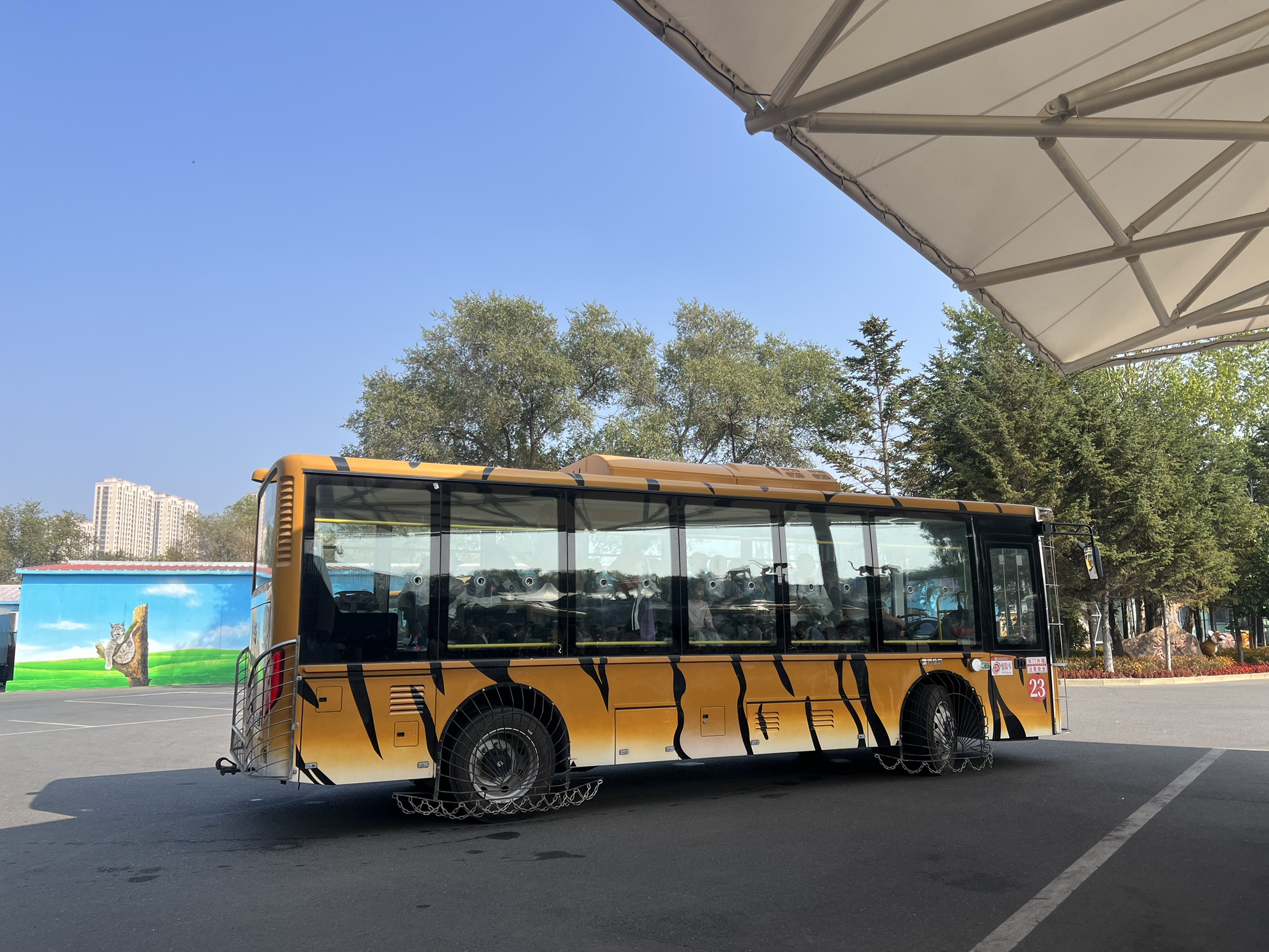 东北虎林园旅行图片 2