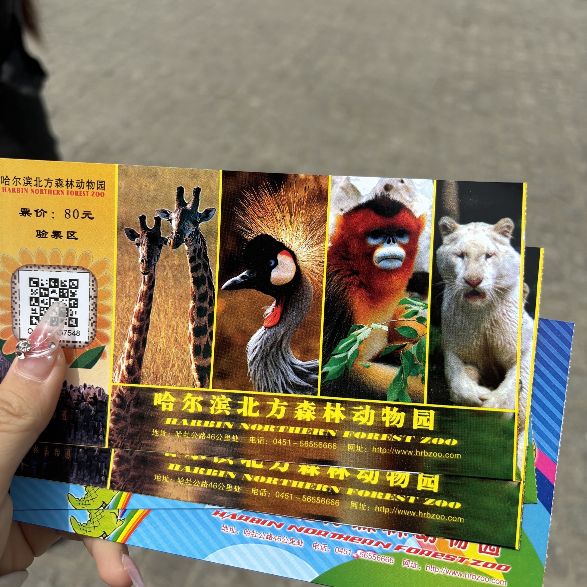 哈尔滨北方森林动物园旅行图片 3