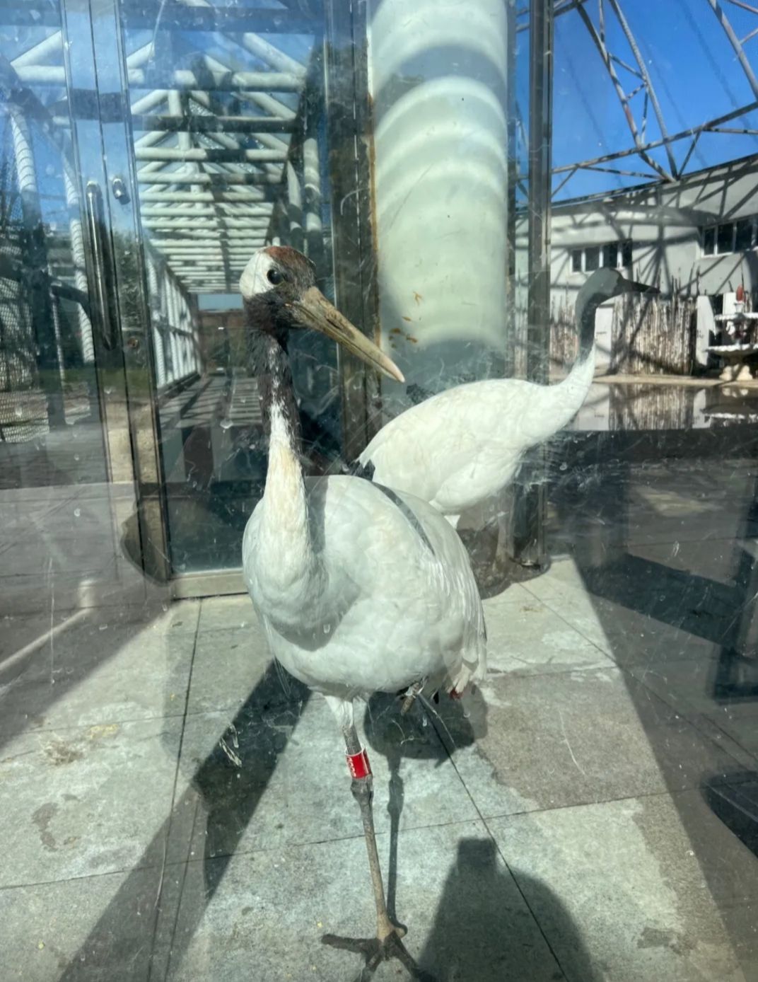 哈尔滨北方森林动物园旅行图片 2