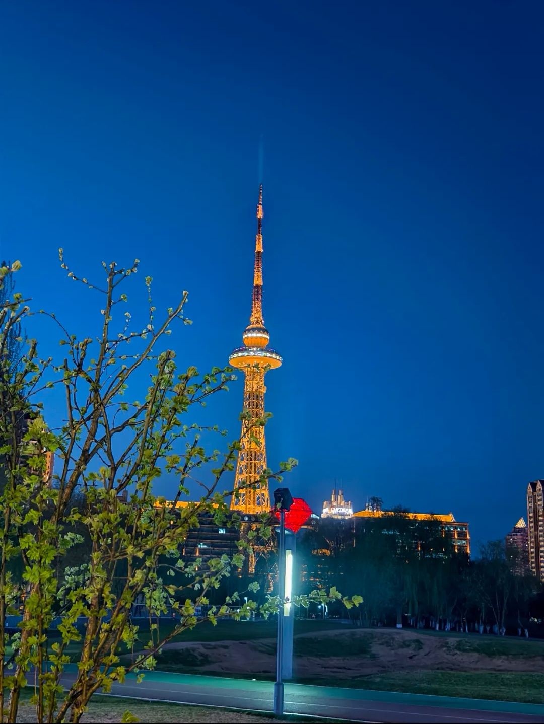 龙塔旅行图片 2