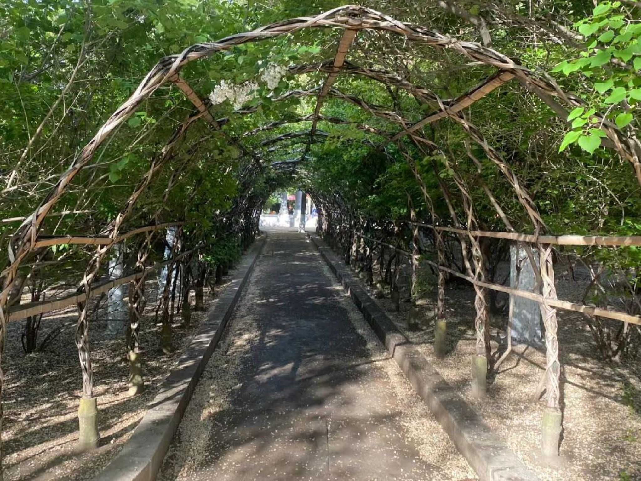清滨公园