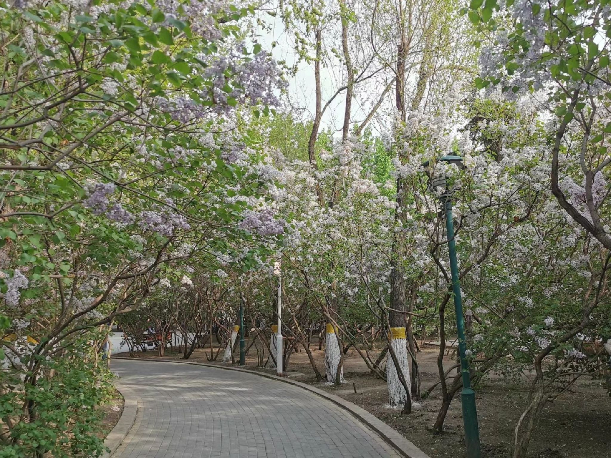 清滨公园旅行图片 3
