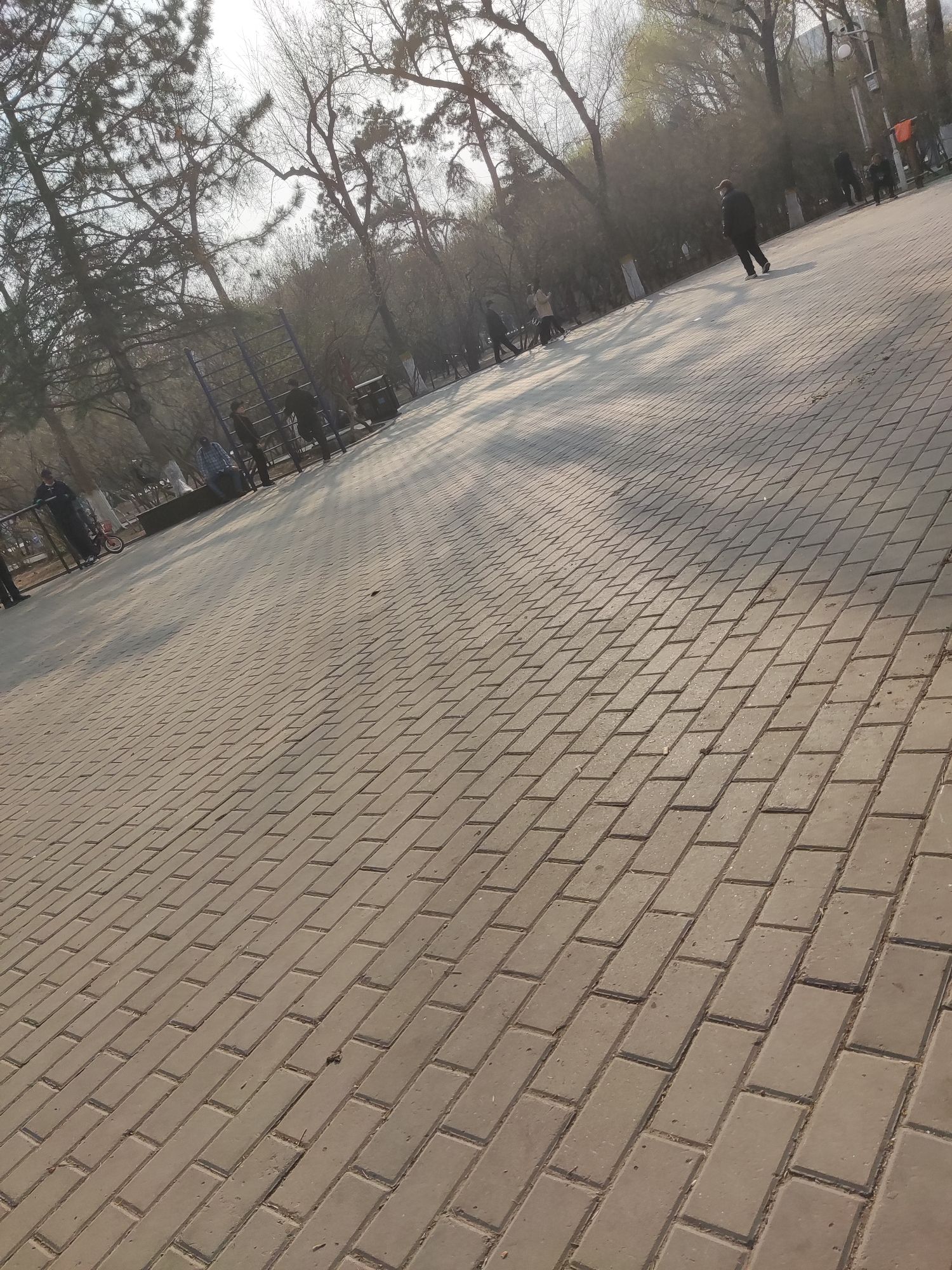 清滨公园旅行图片 1
