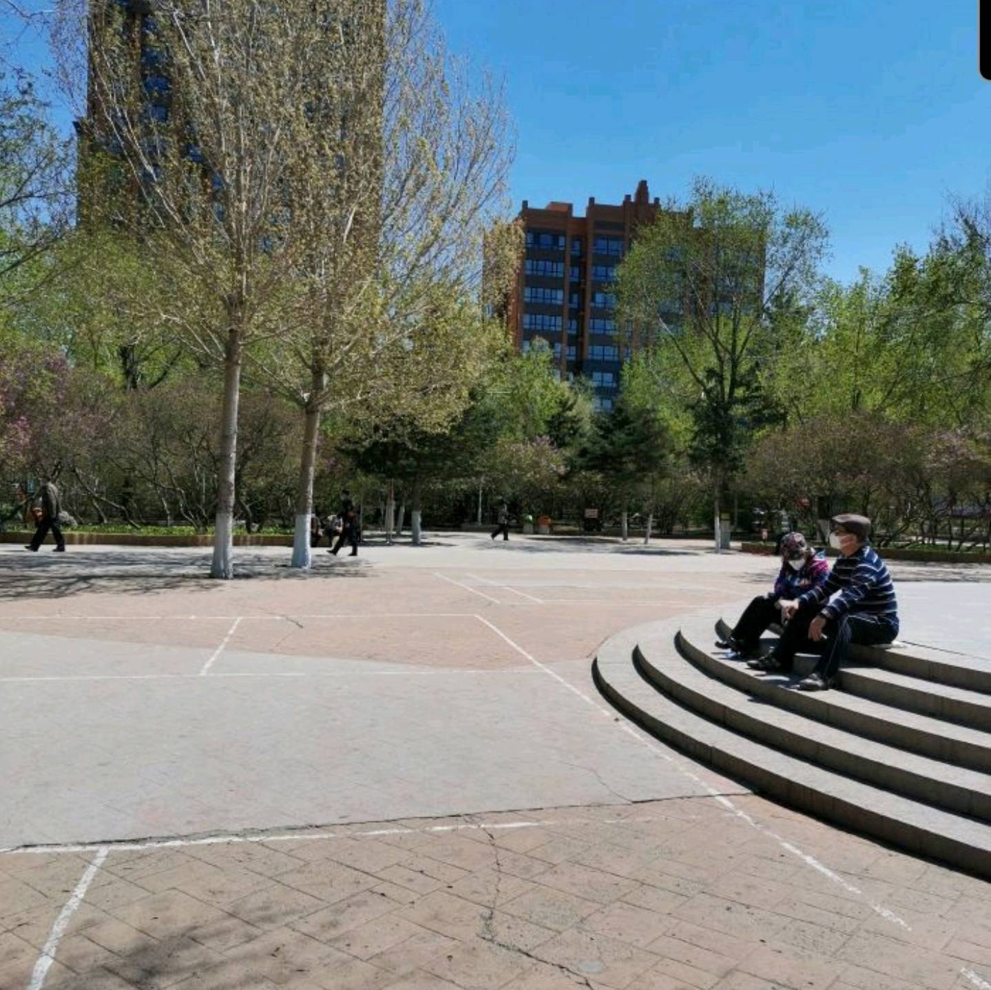 清滨公园旅行图片 3