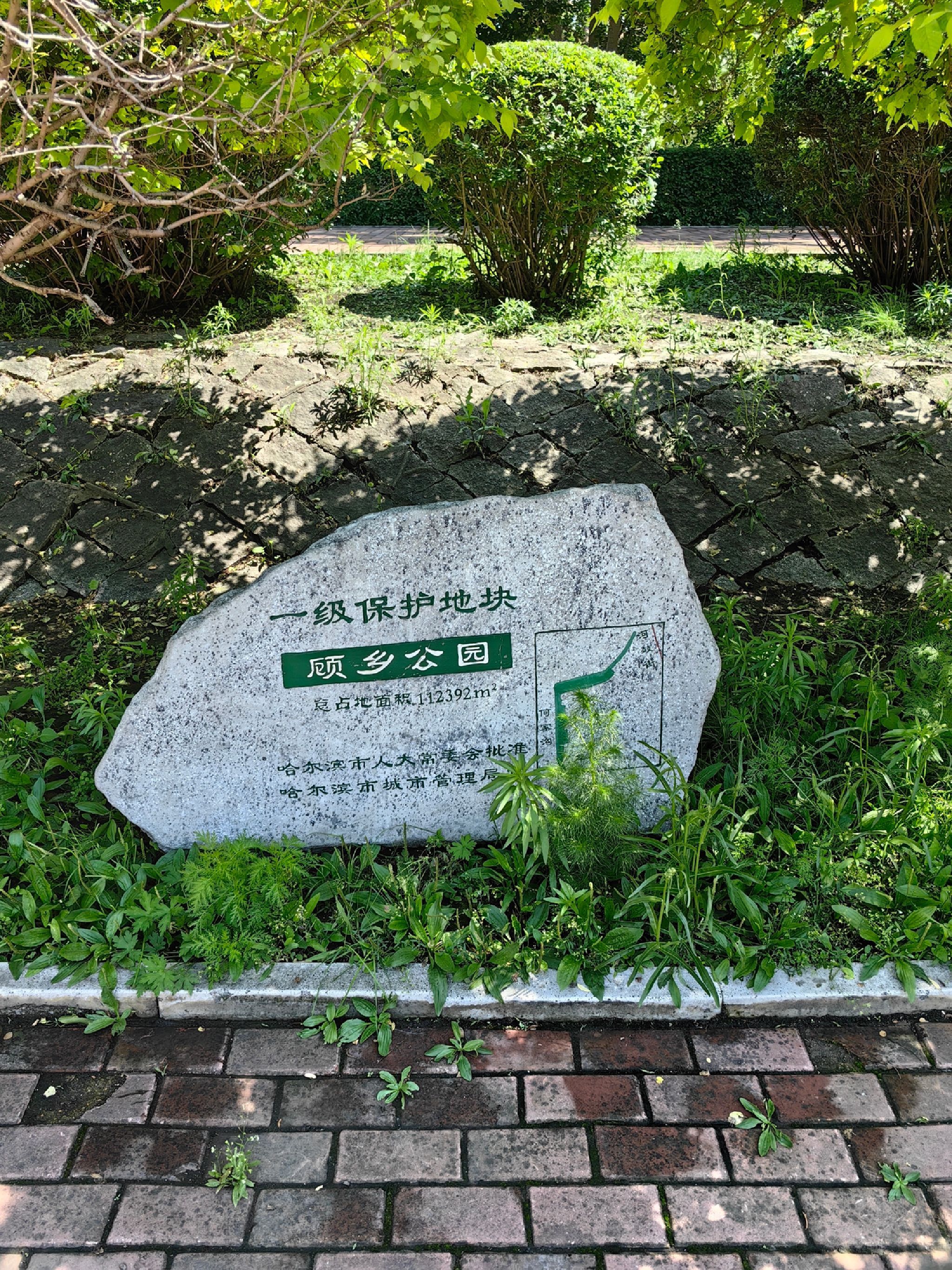 顾乡公园旅行图片 1