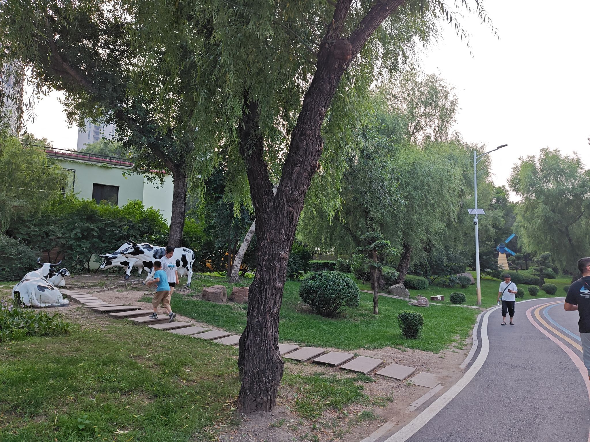 顾乡公园旅行图片 2