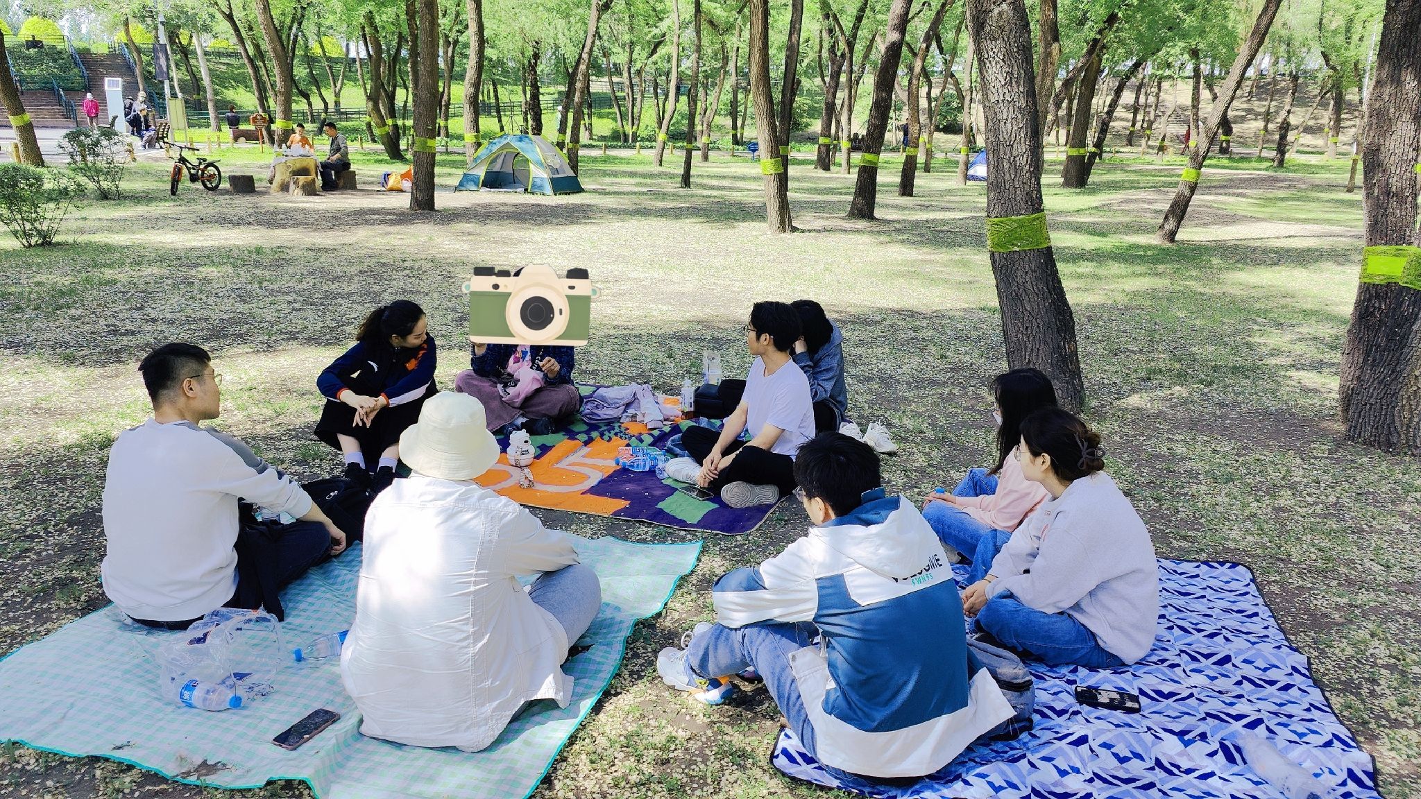 顾乡公园旅行图片 1