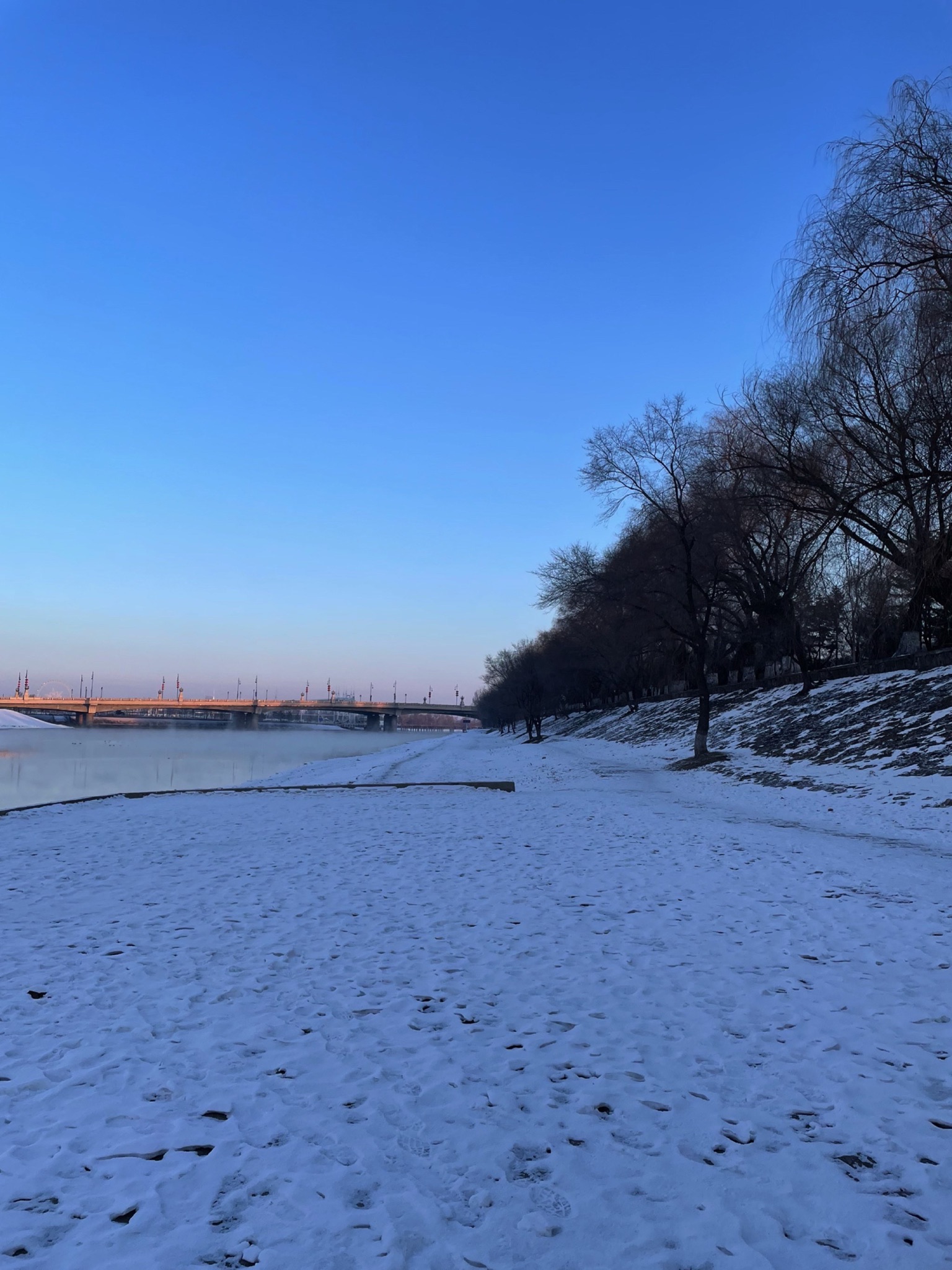 顾乡公园旅行图片 1