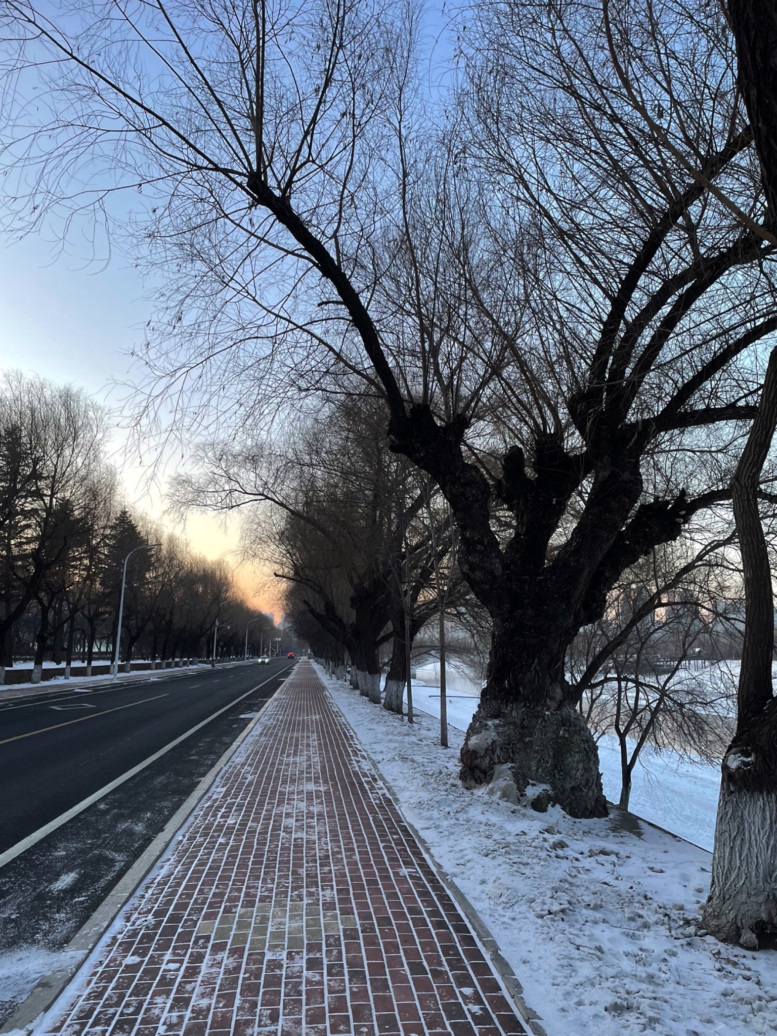 顾乡公园旅行图片 3