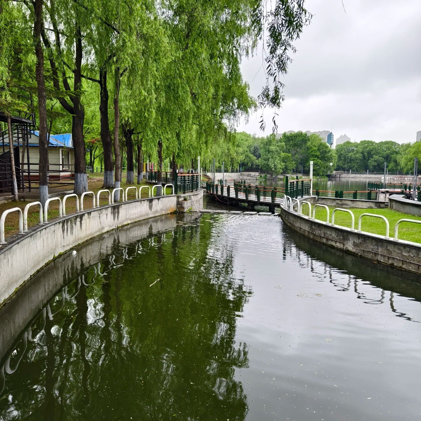 黛秀湖公园旅行图片 2