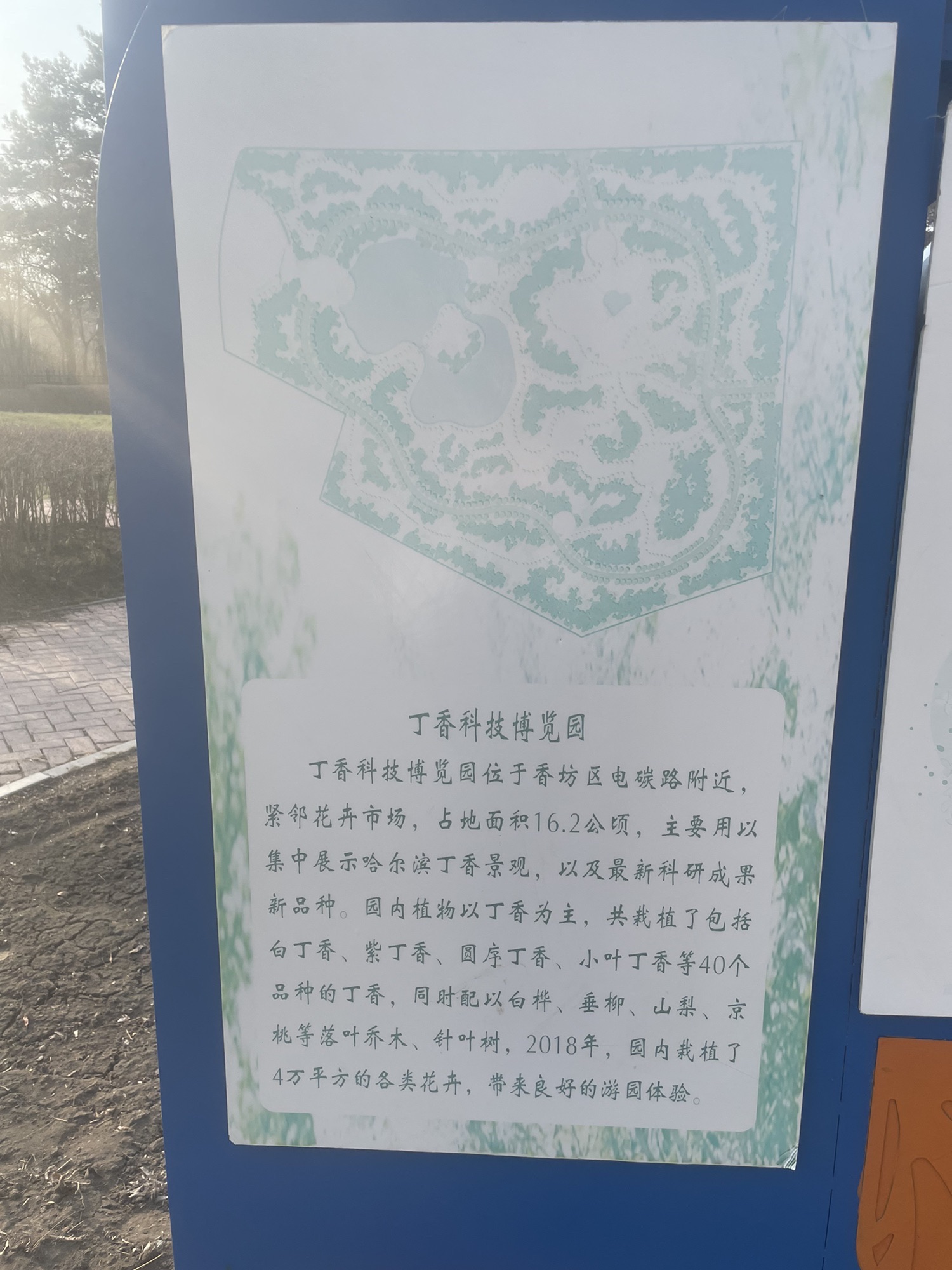 丁香科技博览园旅行图片 3