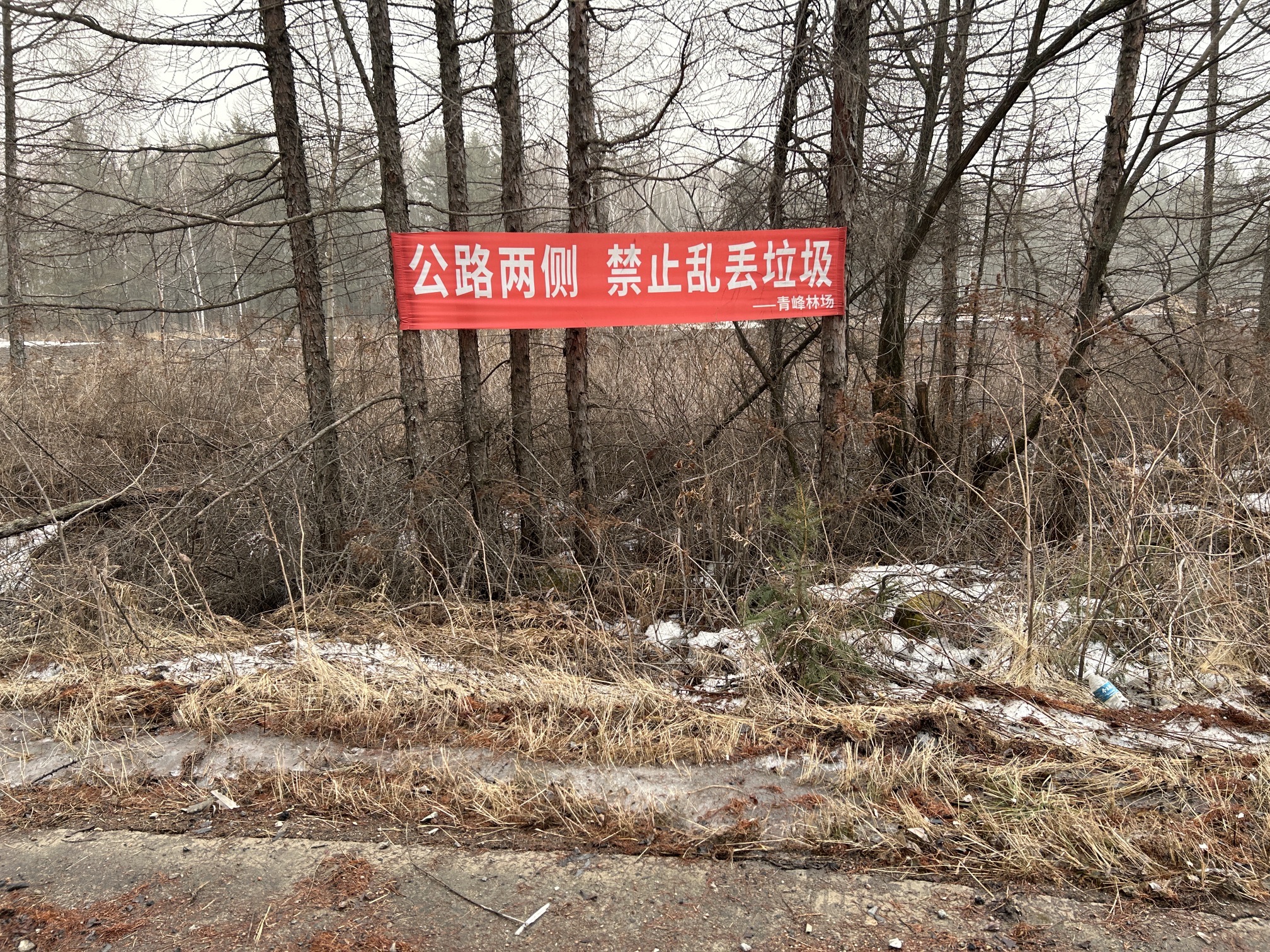 青峰山庄旅行图片 1