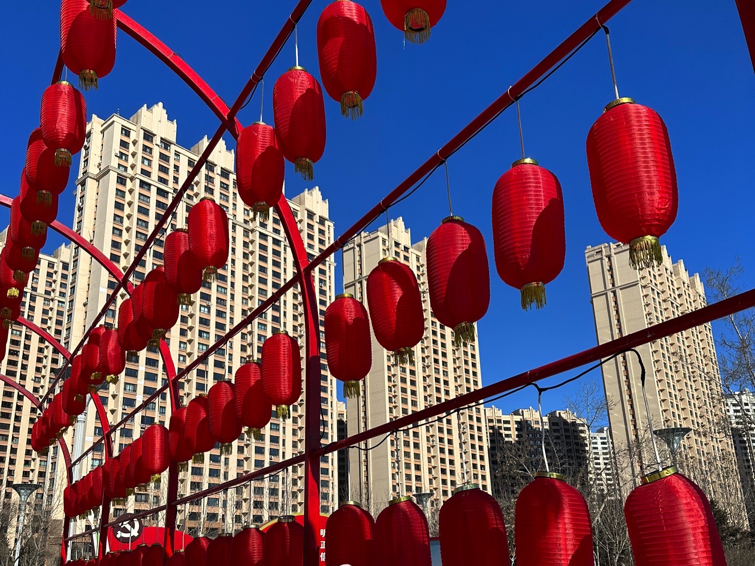 体育公园旅行图片 3
