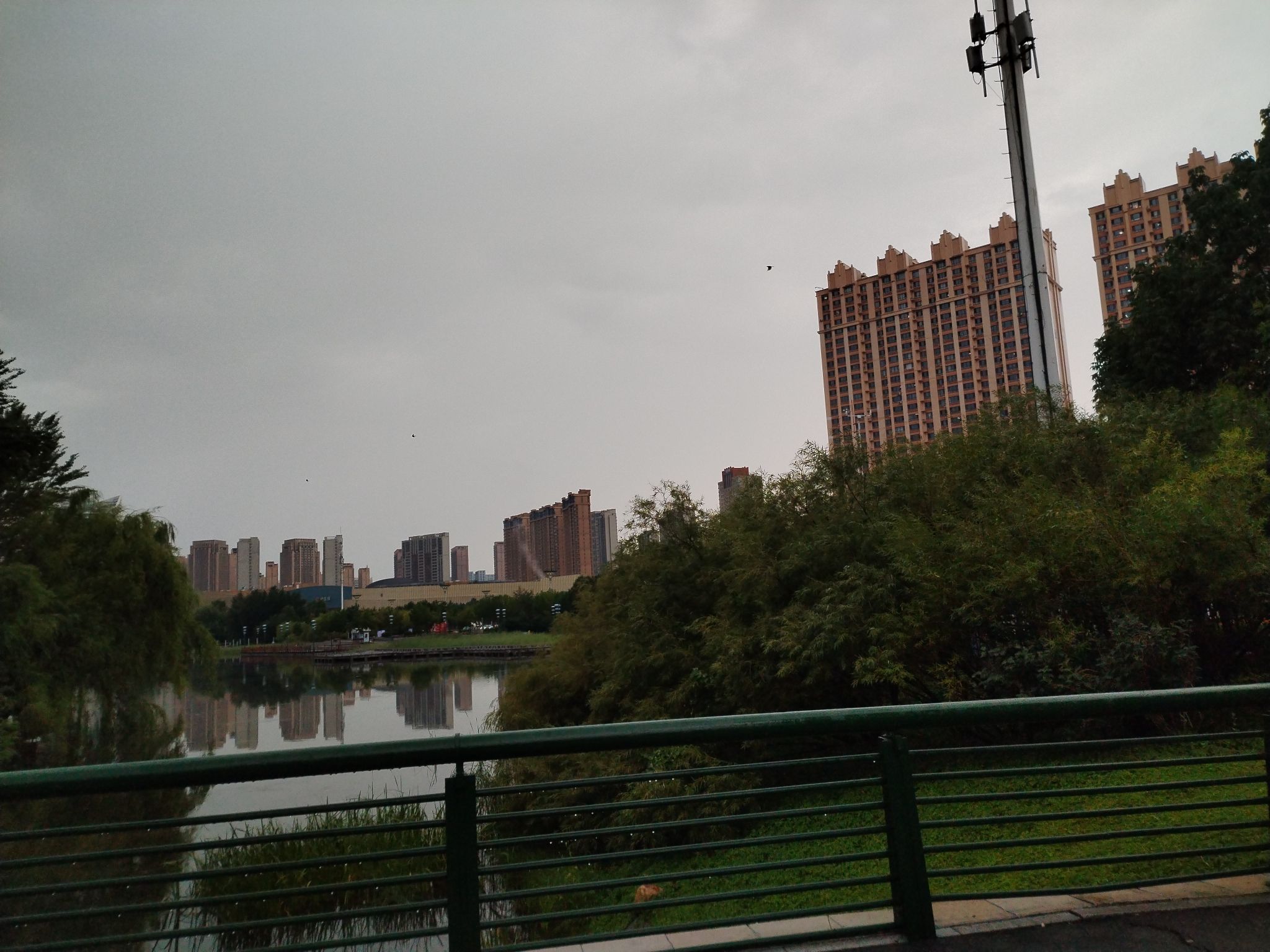 体育公园旅行图片 3