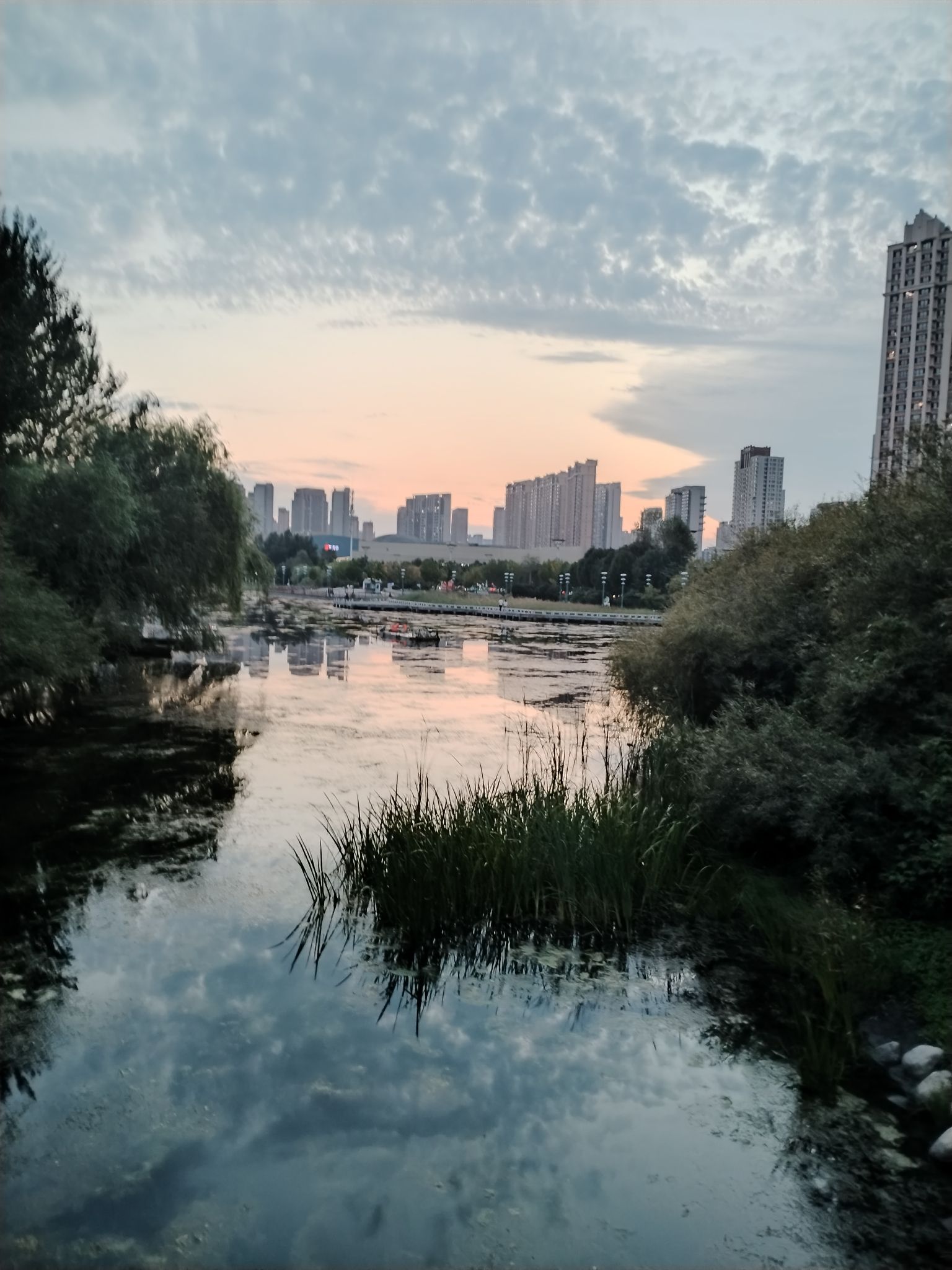 体育公园旅行图片 2