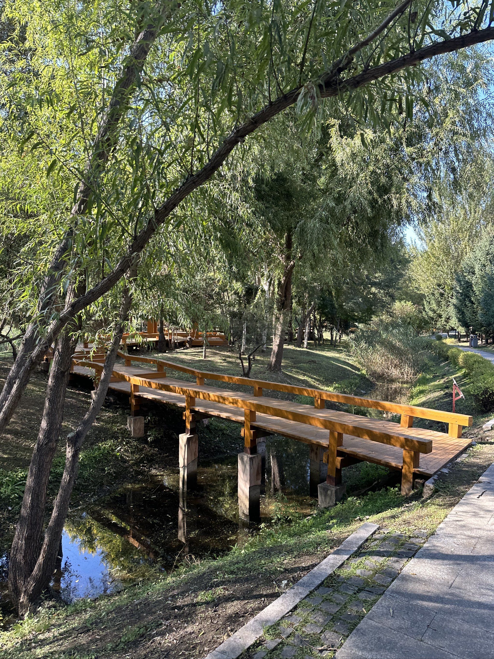 体育公园旅行图片 1