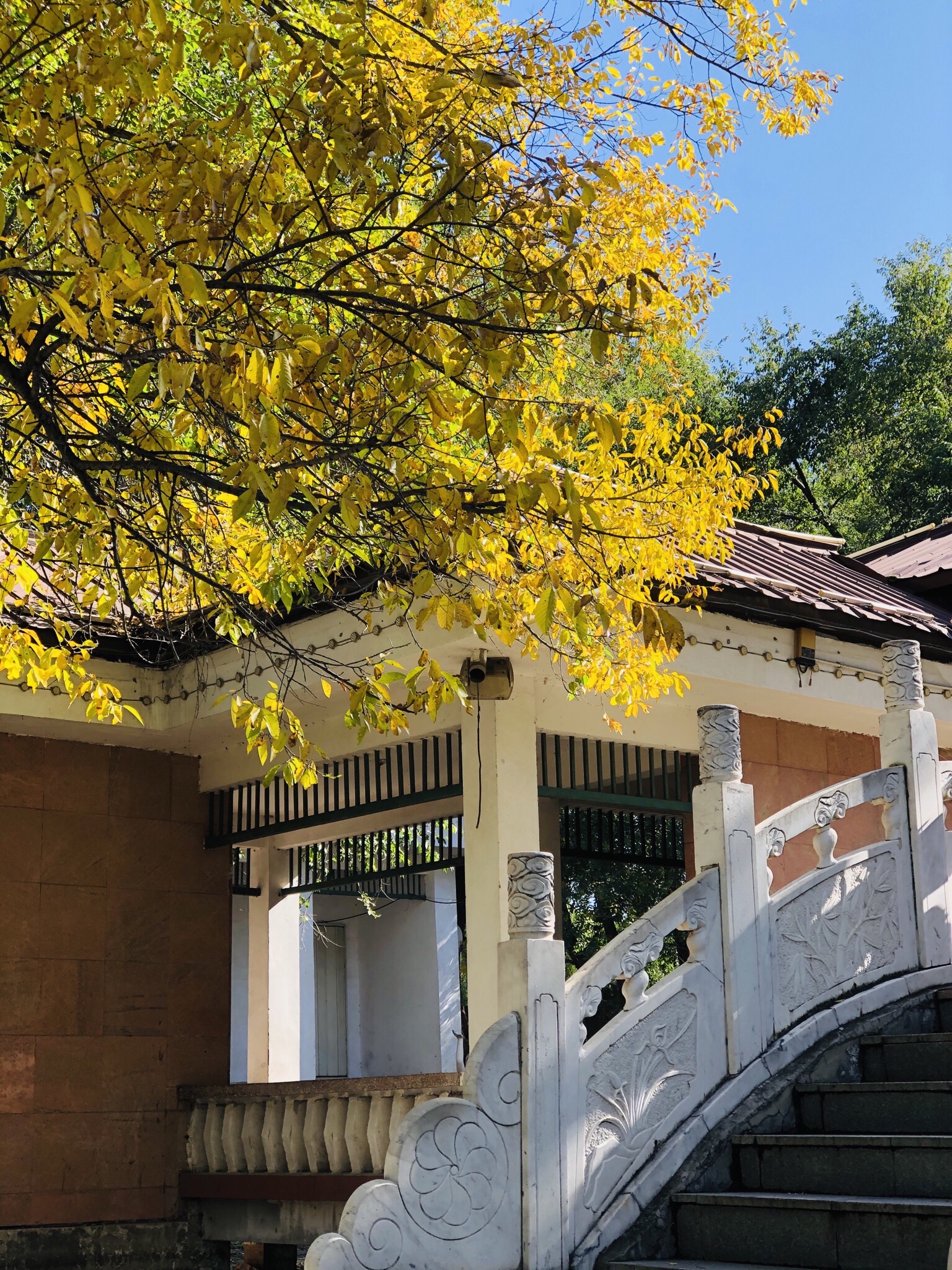 会宁公园旅行图片 1
