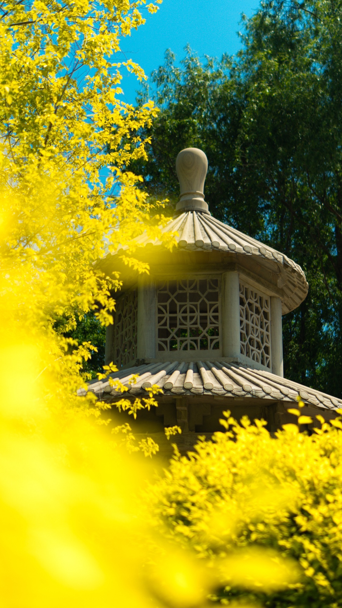 会宁公园旅行图片 3