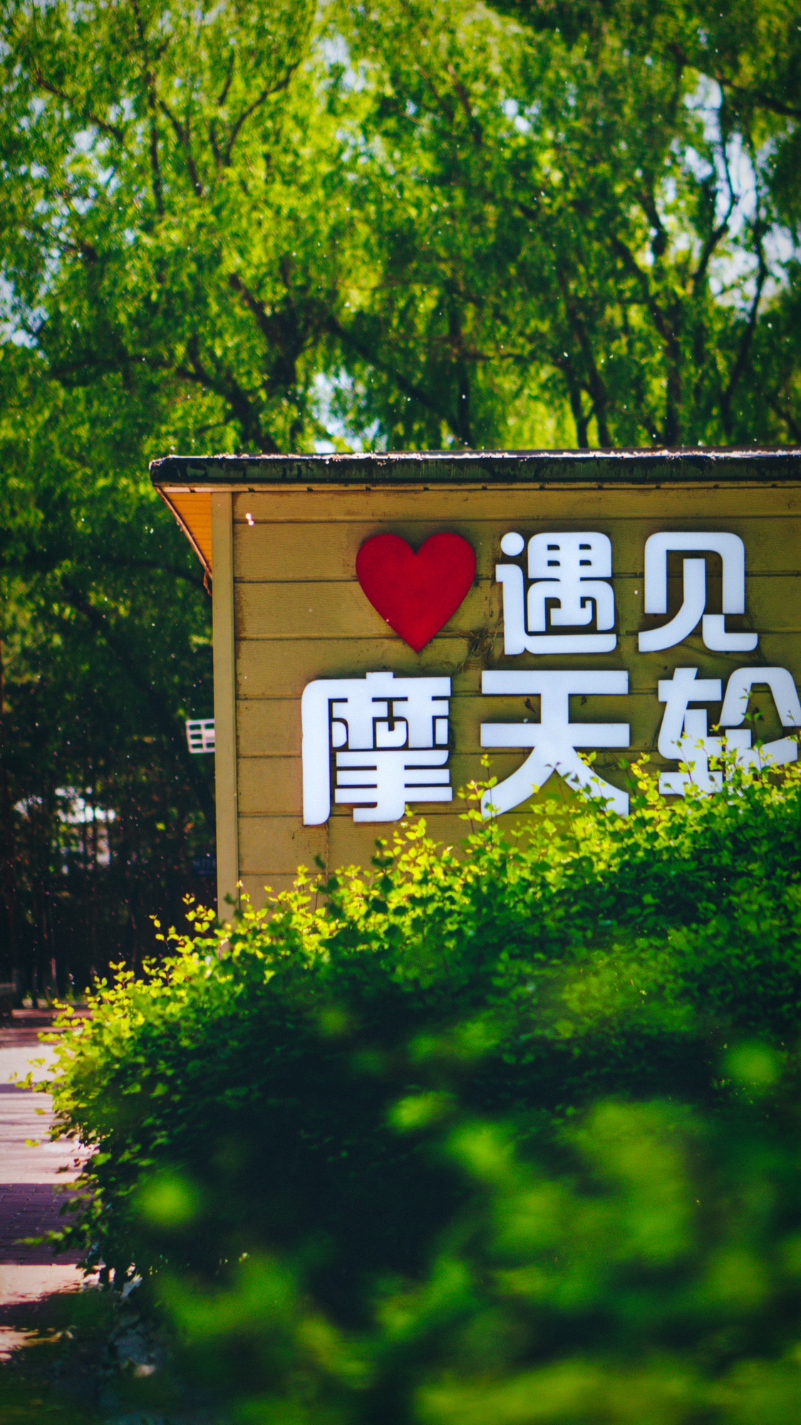 会宁公园旅行图片 2