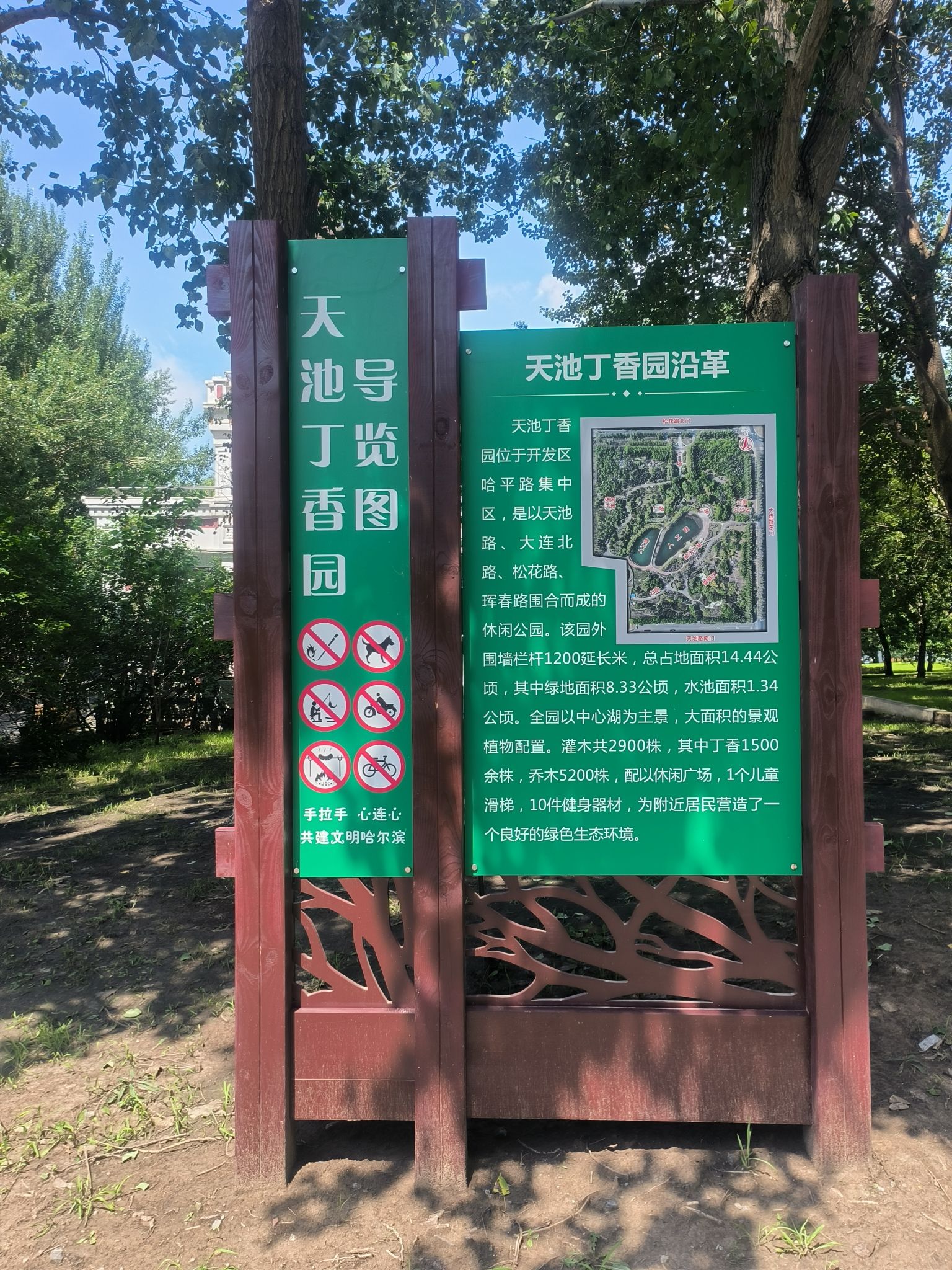 天池丁香公园
