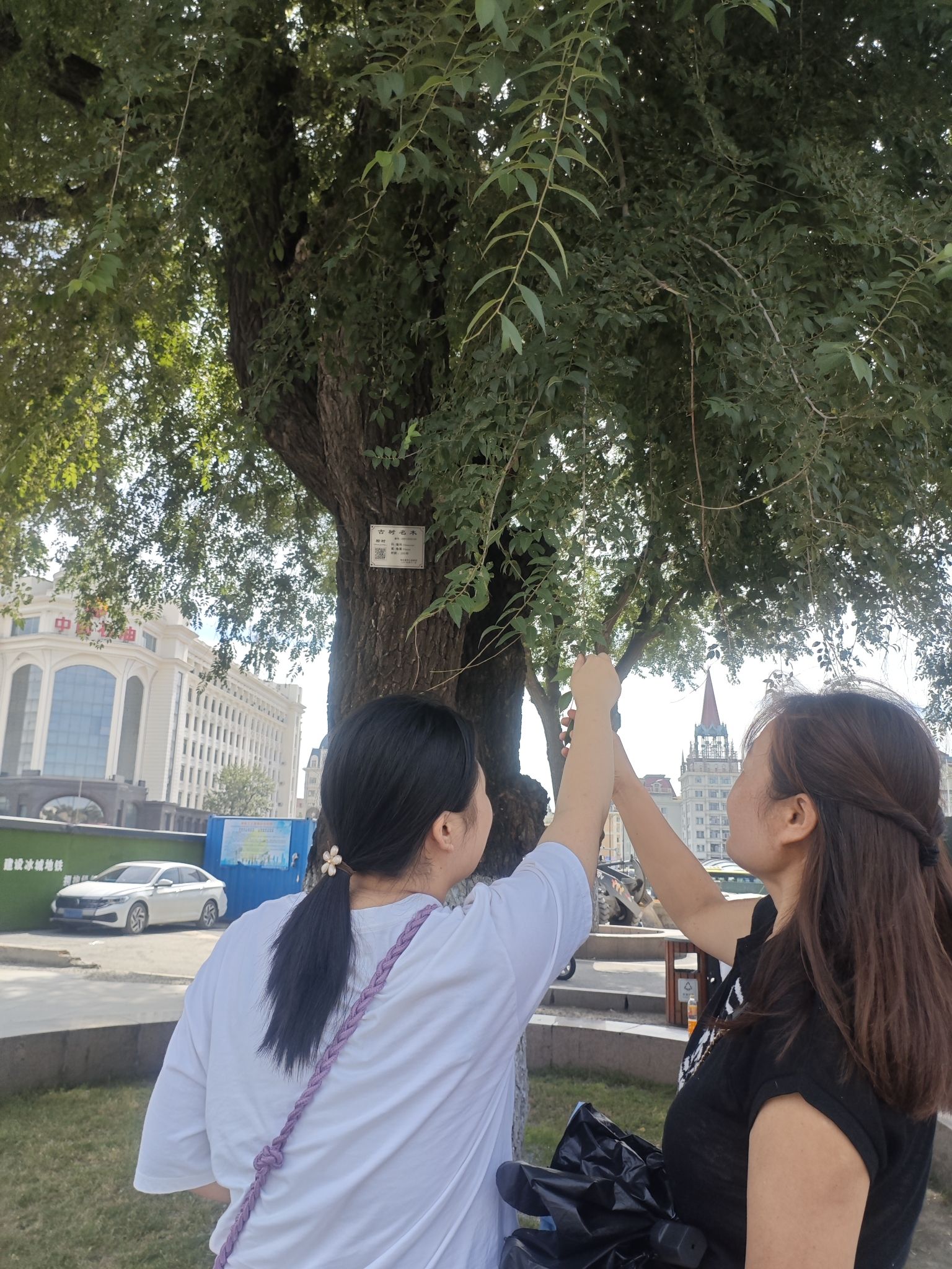 人民广场旅行图片 3