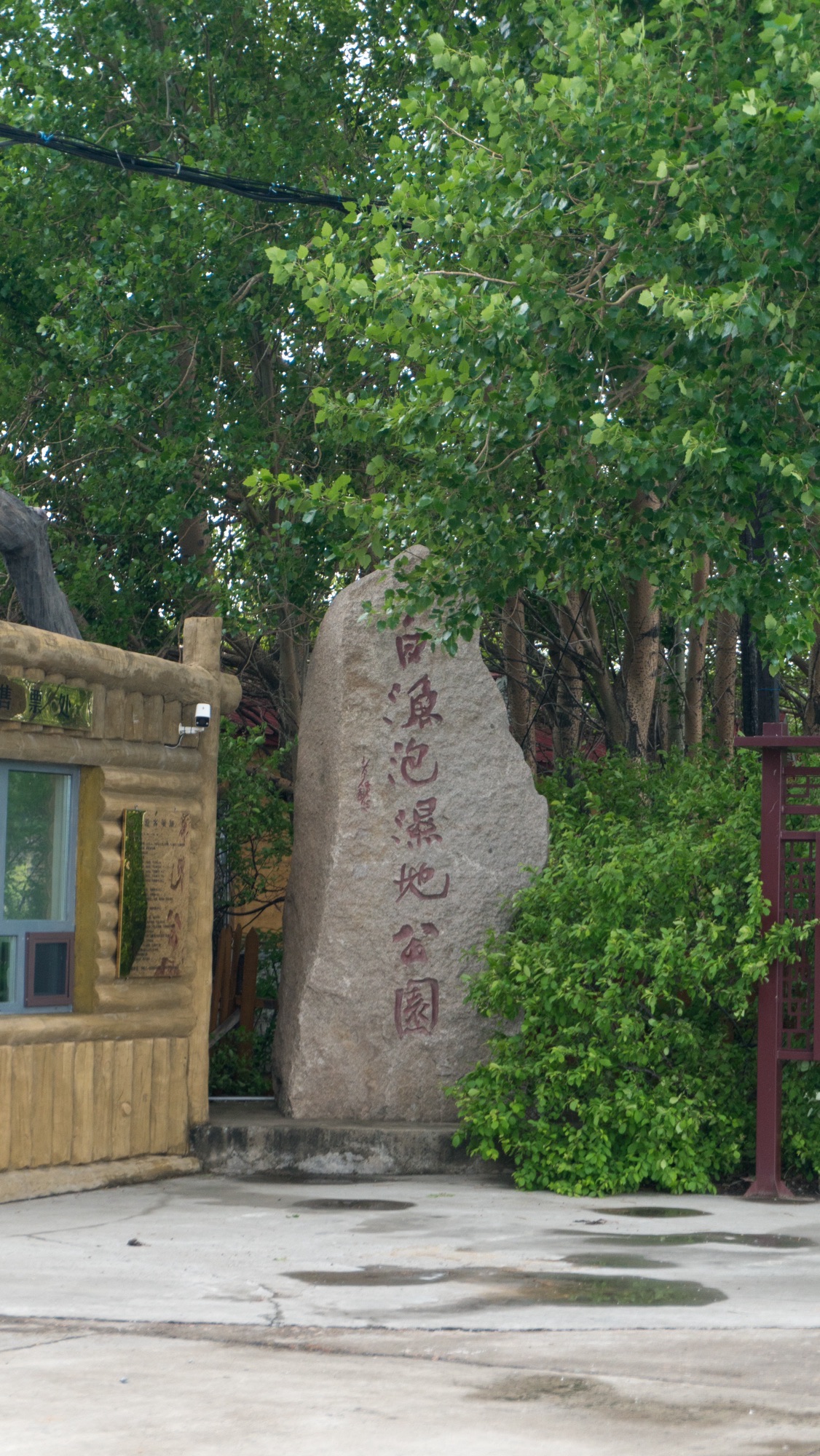 白渔泡湿地公园(暂停开放)旅行图片 2