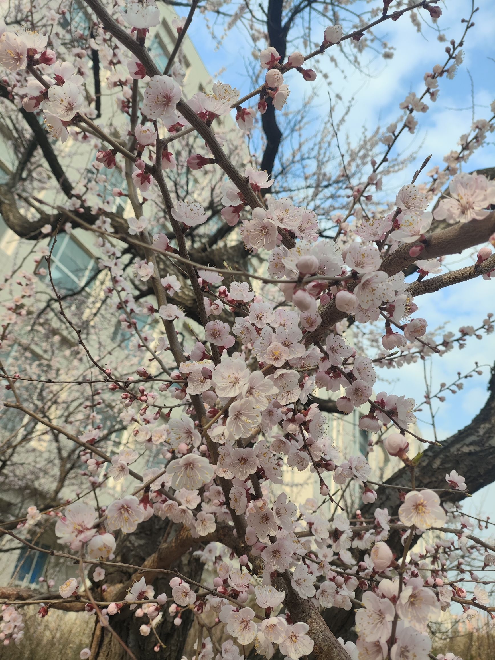 哈尔滨商业大学(北校区)C区管理学院