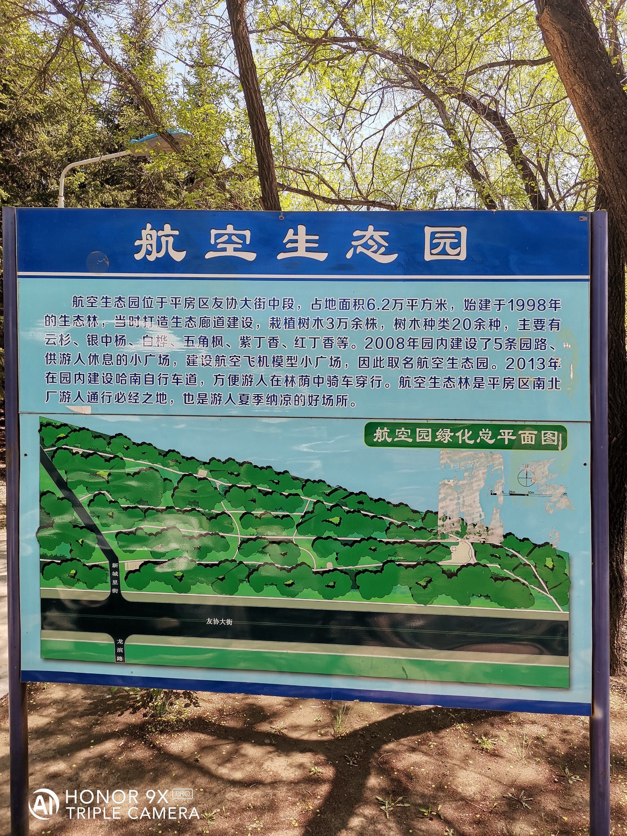 航空生态园旅行图片 2