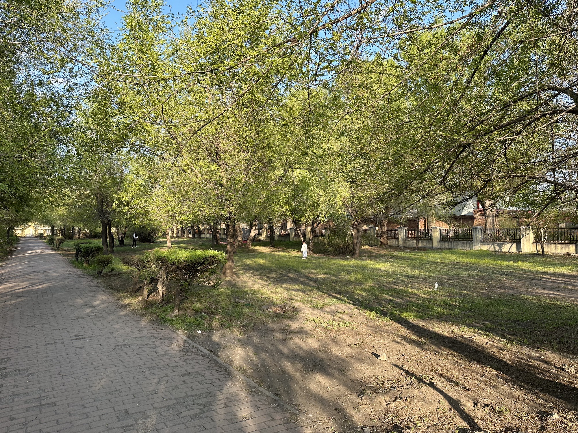 一机公园旅行图片 1