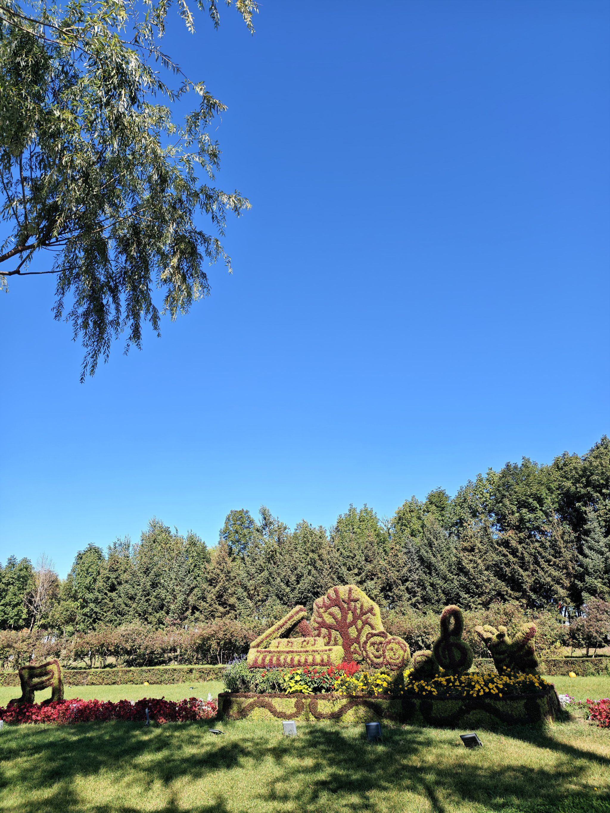 哈尔滨音乐公园旅行图片 2