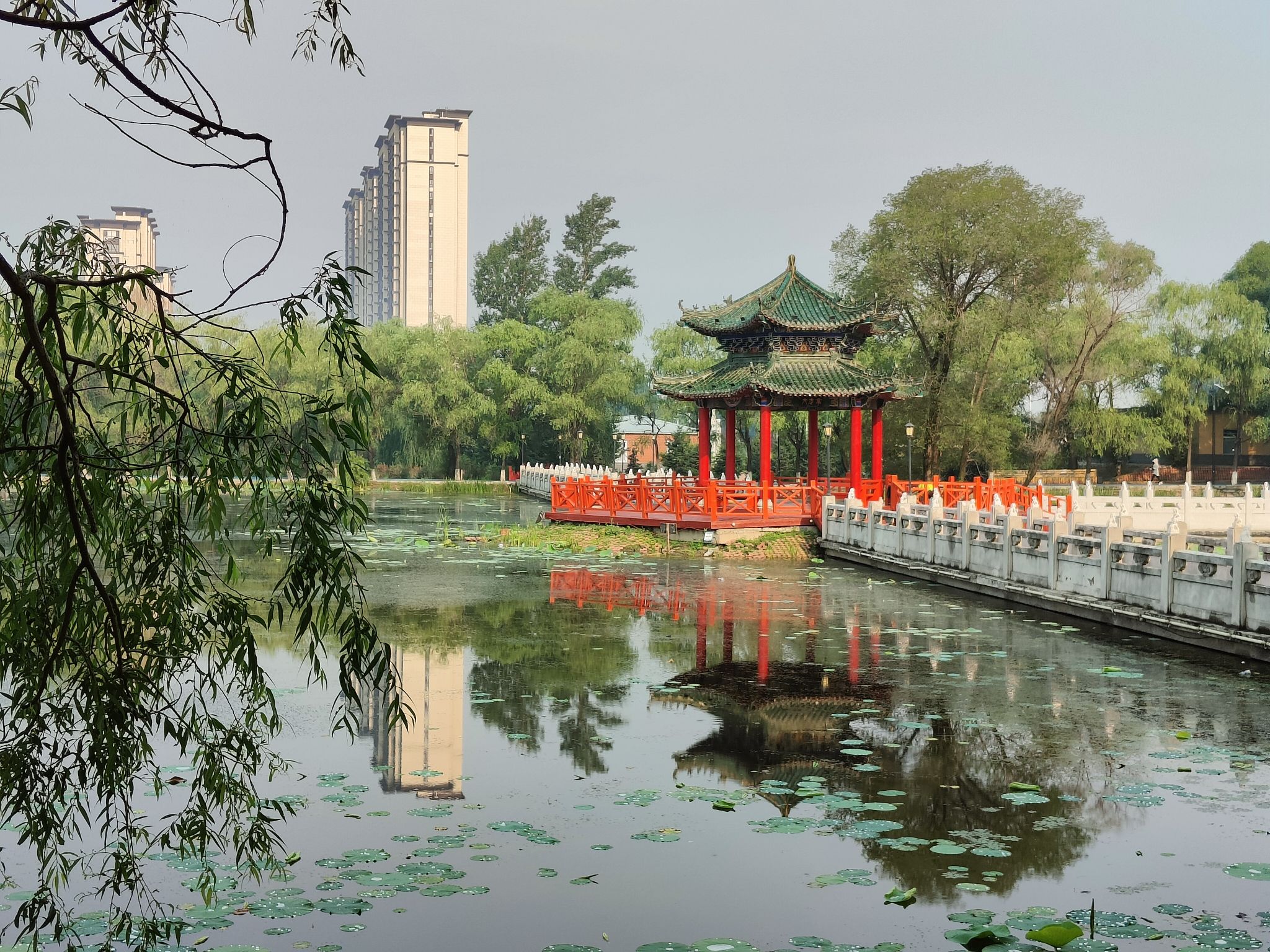 西郊公园旅行图片 1