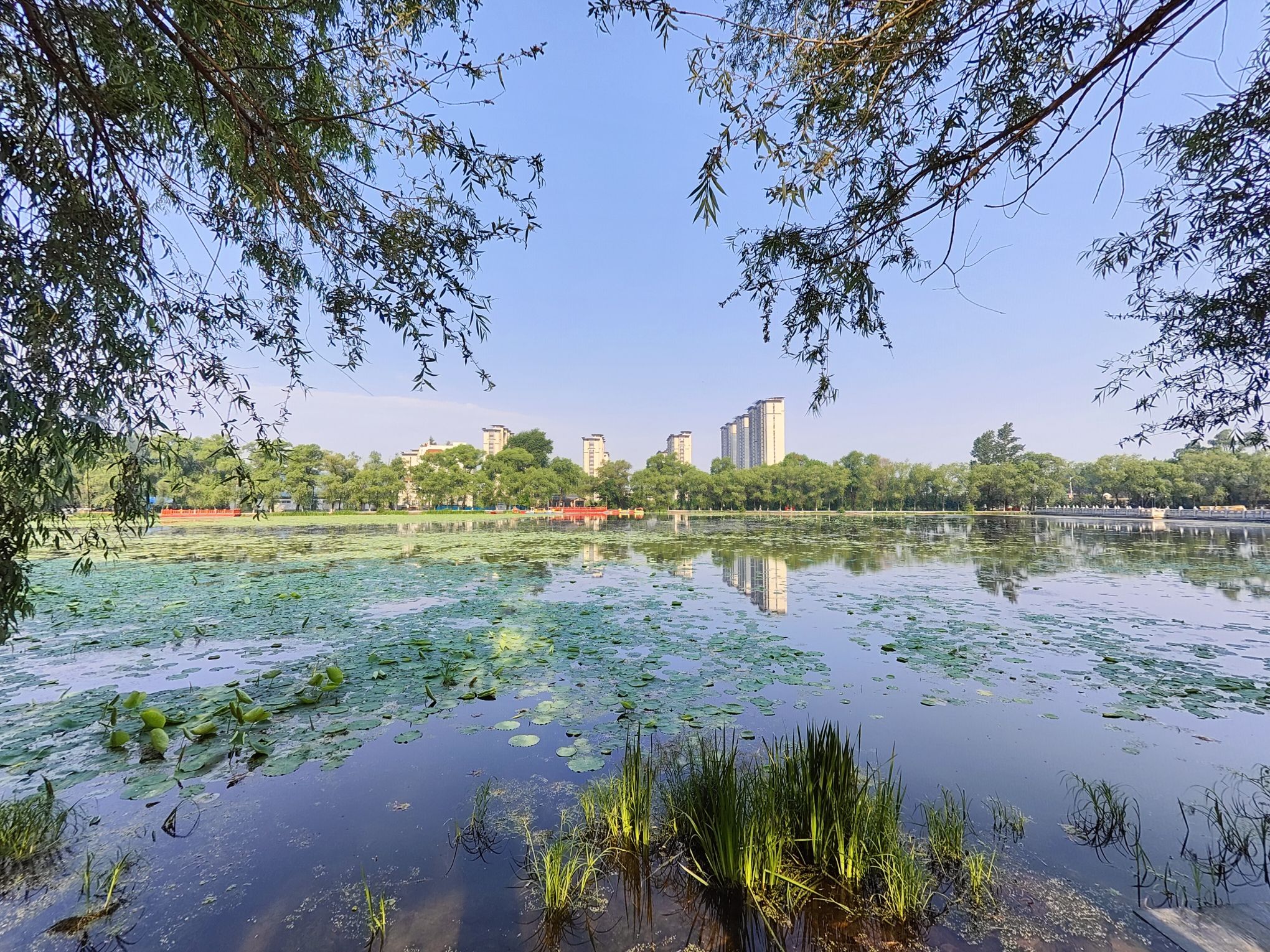 西郊公园旅行图片 3
