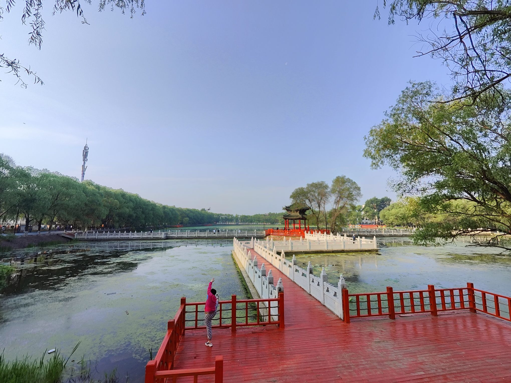 西郊公园旅行图片 2