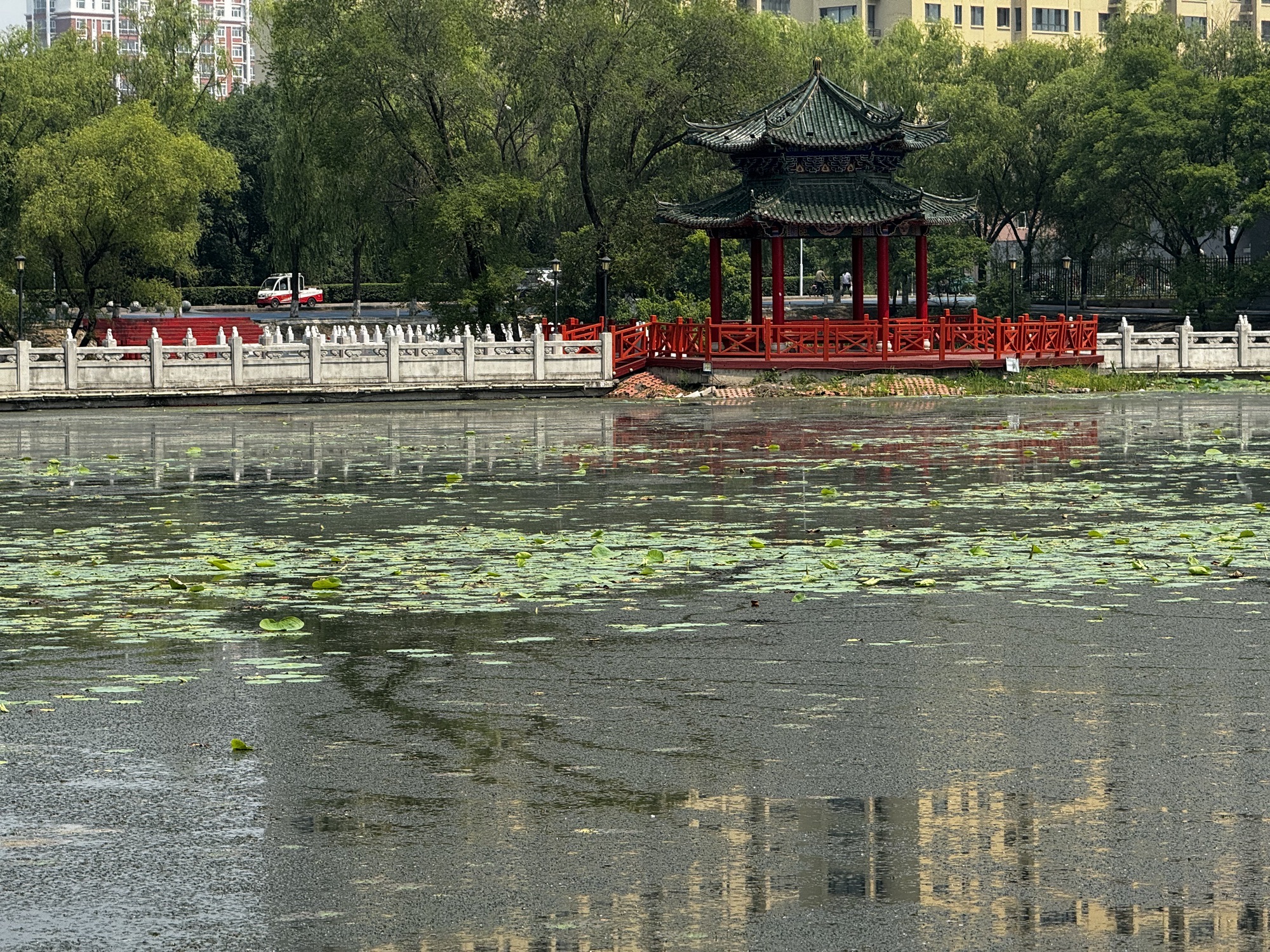 西郊公园旅行图片 2