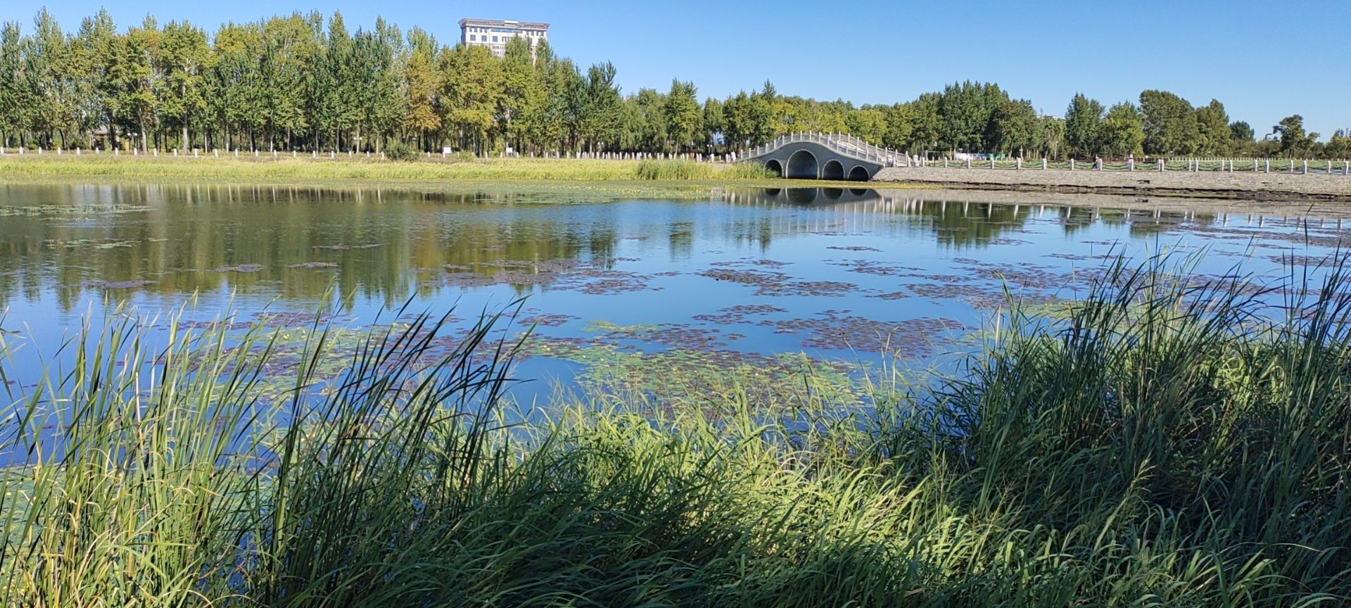 方正湖公园旅行图片 1