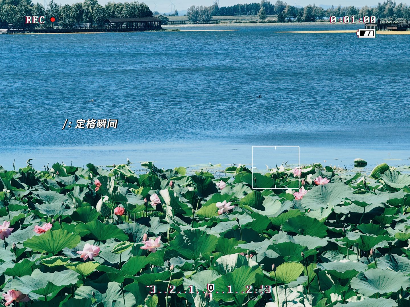 方正湖公园旅行图片 2
