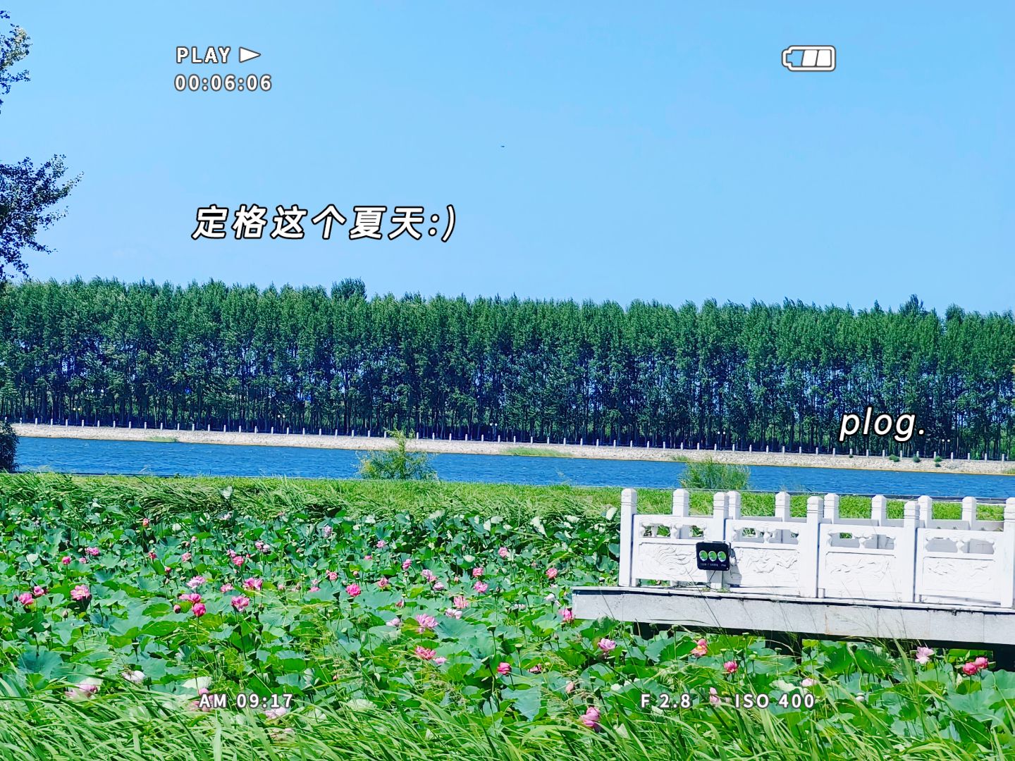 方正湖公园旅行图片 3